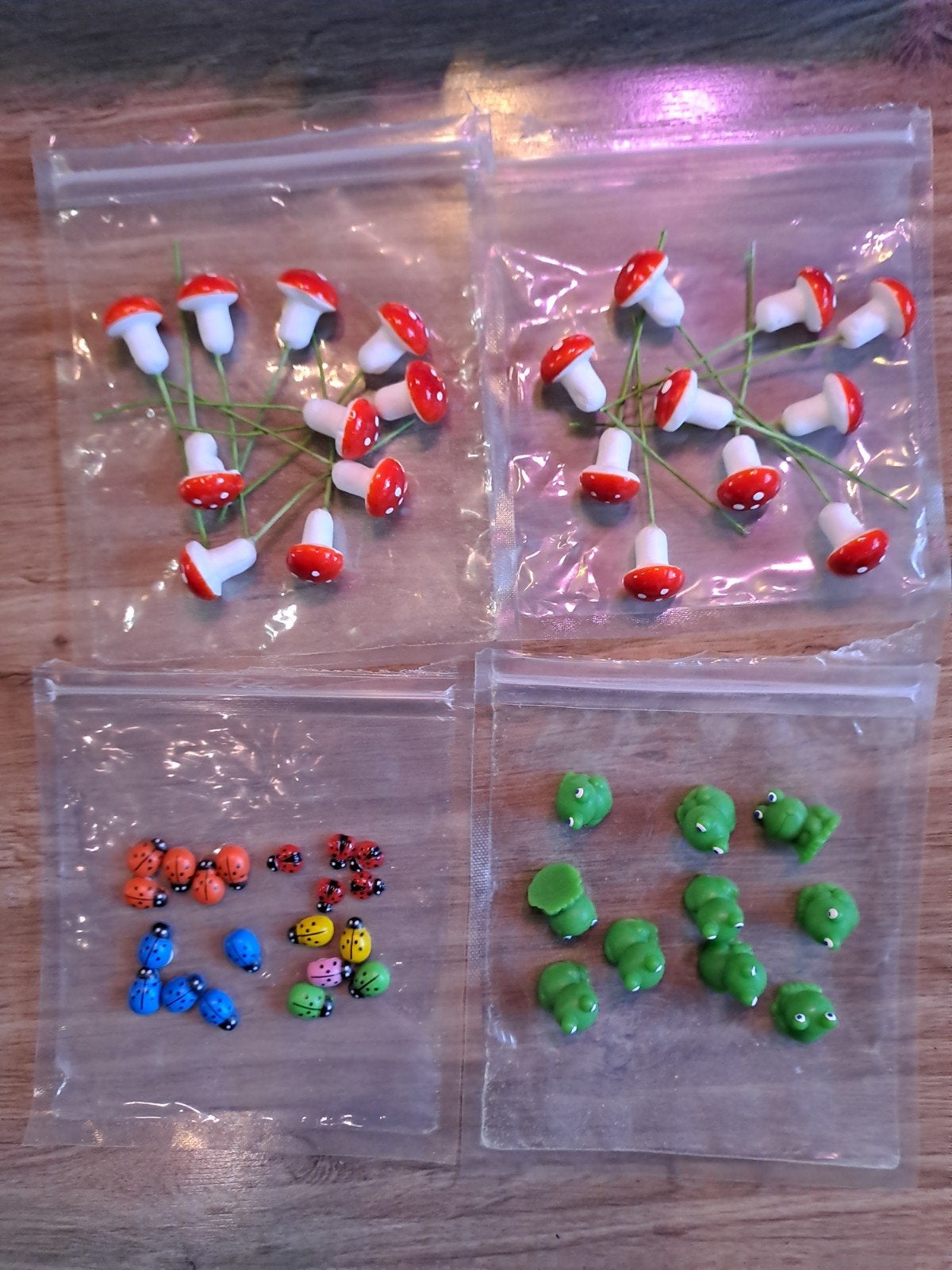 Knutselset: Paddenstoelen, lieveheersbeestjes en kikkers, Dieren, Nieuw, Meerkleurig, Ophalen of Verzenden