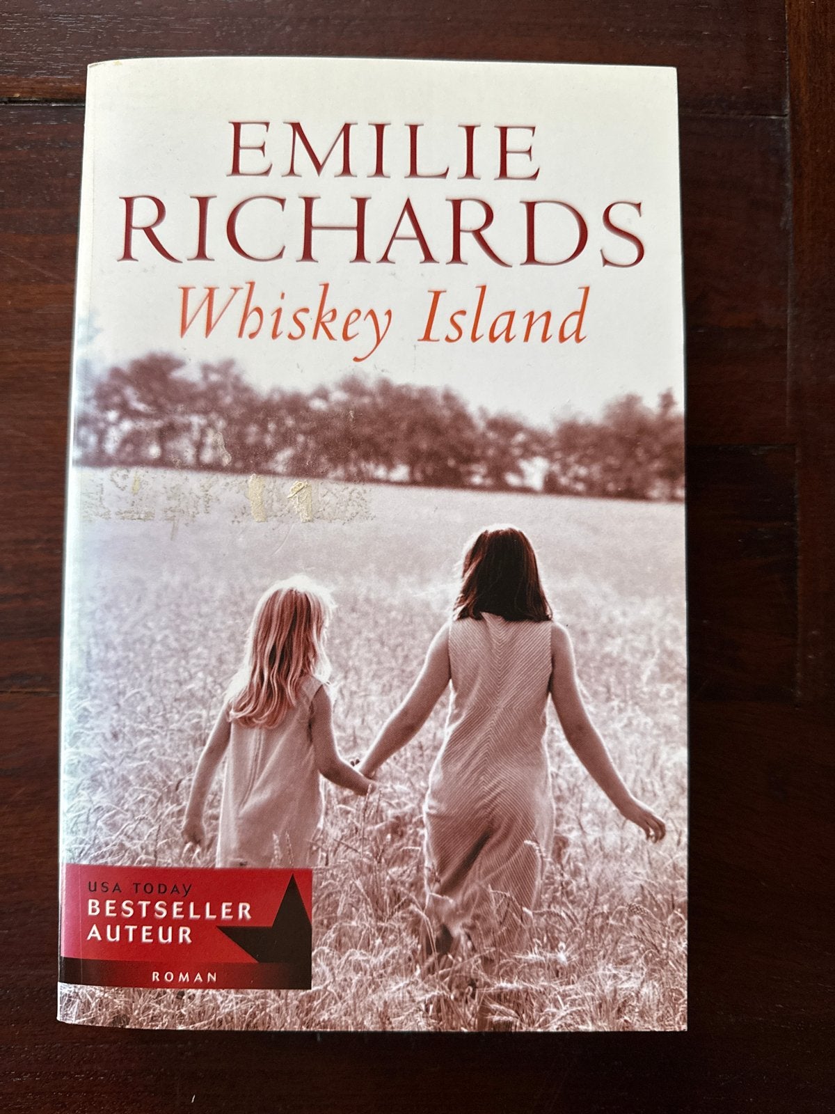 Whiskey Island - Emilie Richards (Roman), Boeken, Romans, Ophalen of Verzenden, Zo goed als nieuw, Europa overig