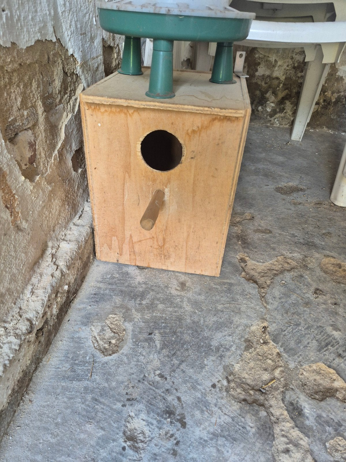 broedhok, Dieren en Toebehoren, Ophalen of Verzenden, Hout, Vogelkooi