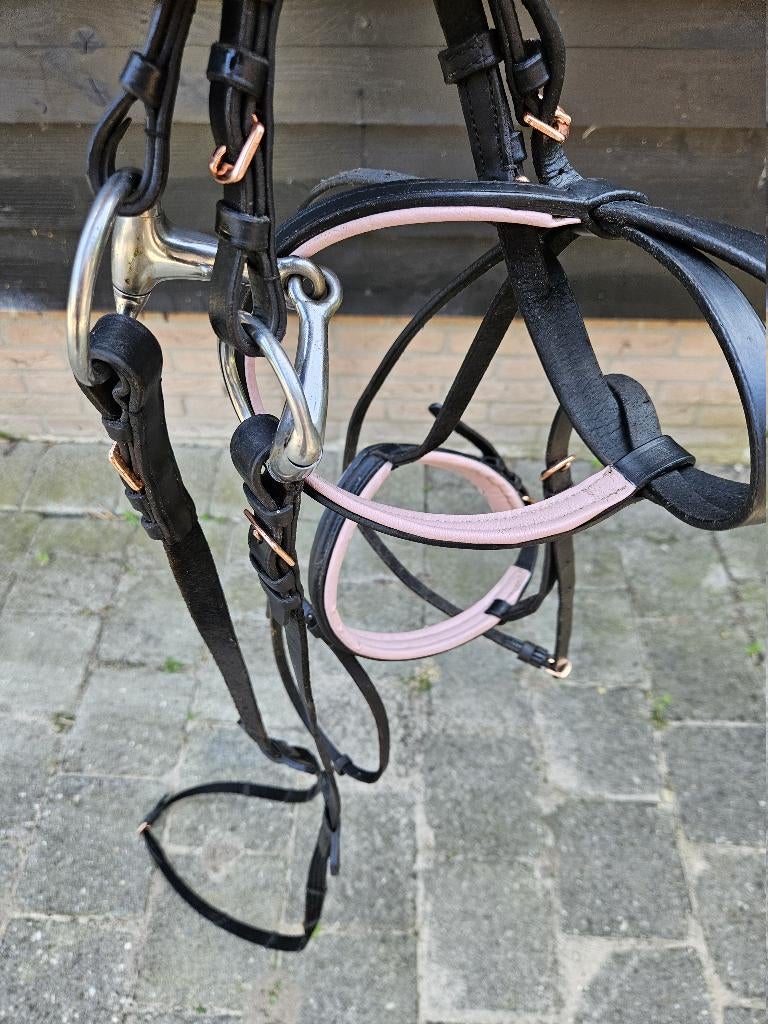 hoofdstel Cob pony, Ophalen of Verzenden, Zo goed als nieuw, Recreatie