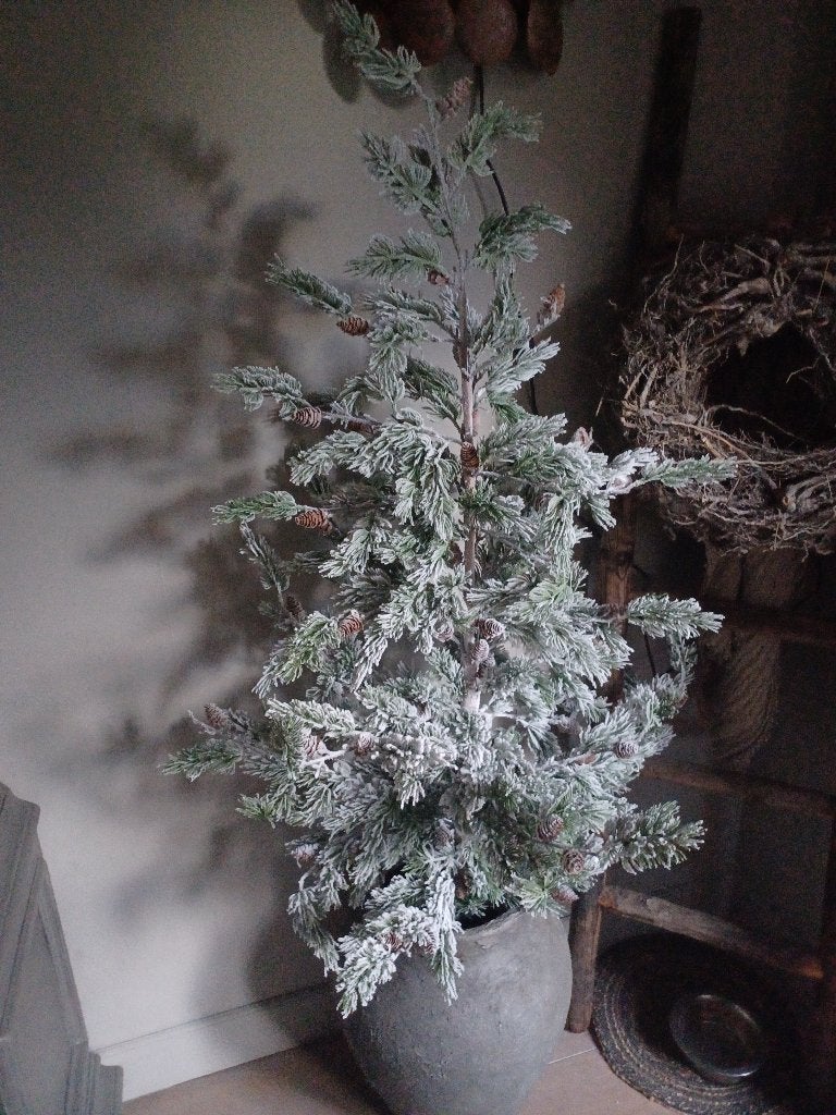 kerstboom, Diversen, Kerst, Ophalen, Zo goed als nieuw