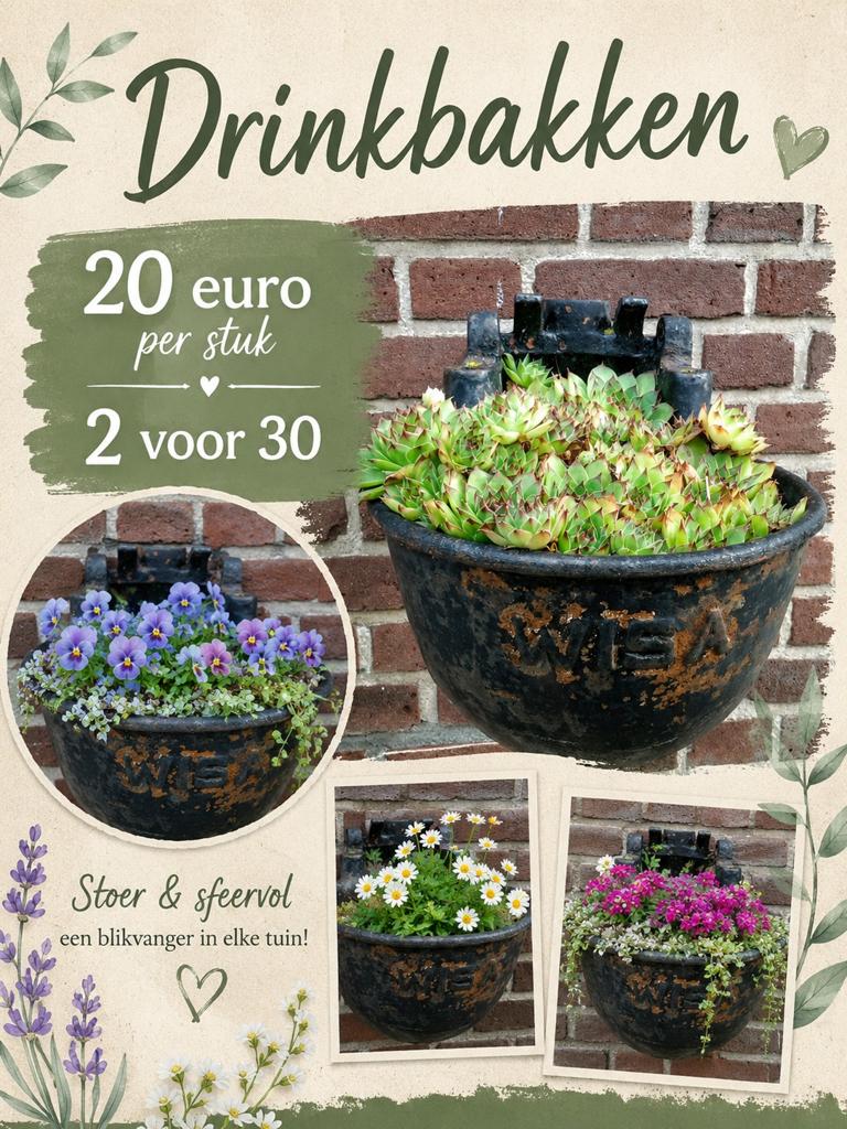 Brocante drinkbakken meerdere stuks op voorraad, Tuin en Terras, Tuinwanddecoratie, Ophalen of Verzenden, Nieuw