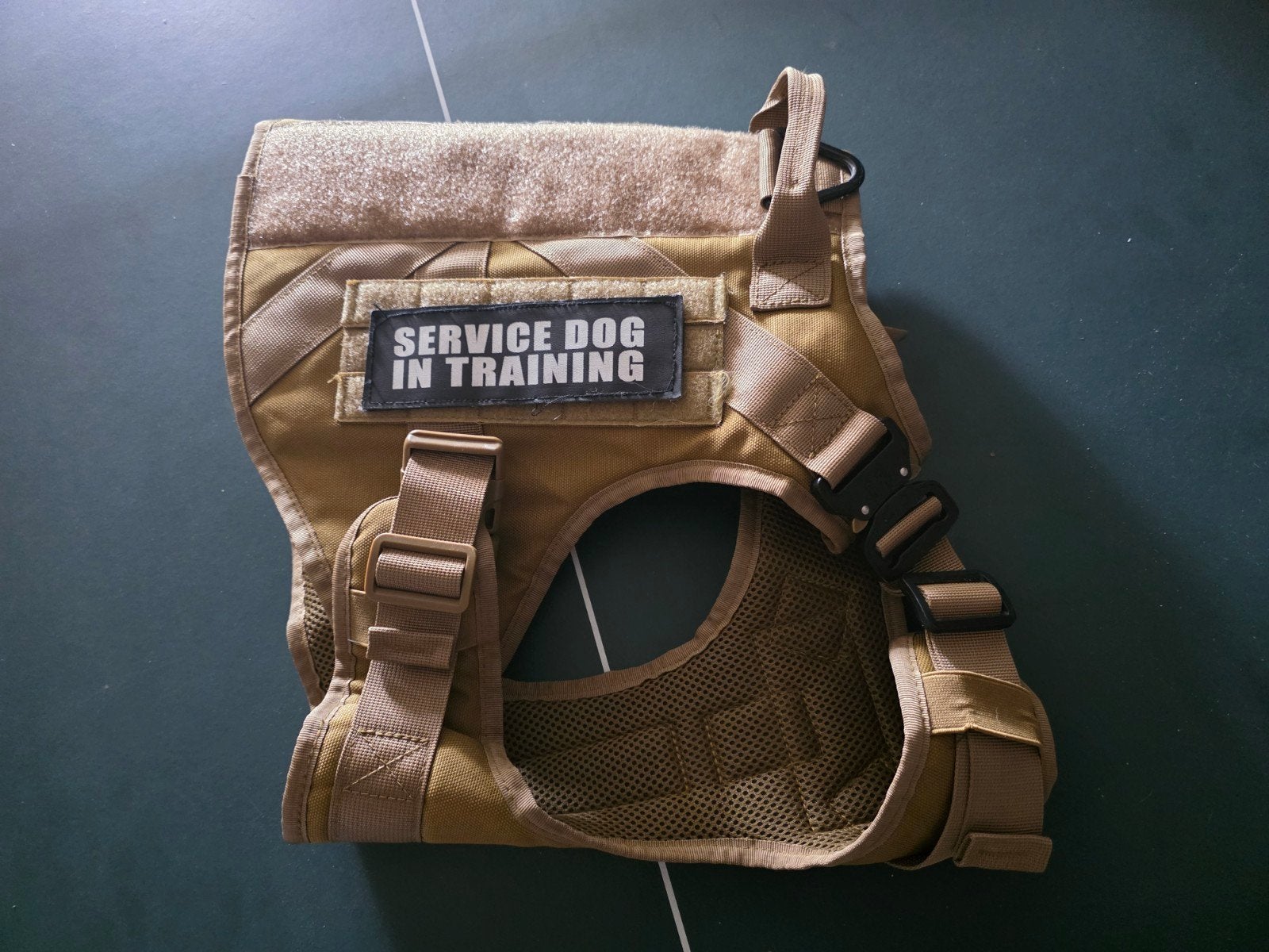 Honden tuig XL, Ophalen of Verzenden, Nieuw