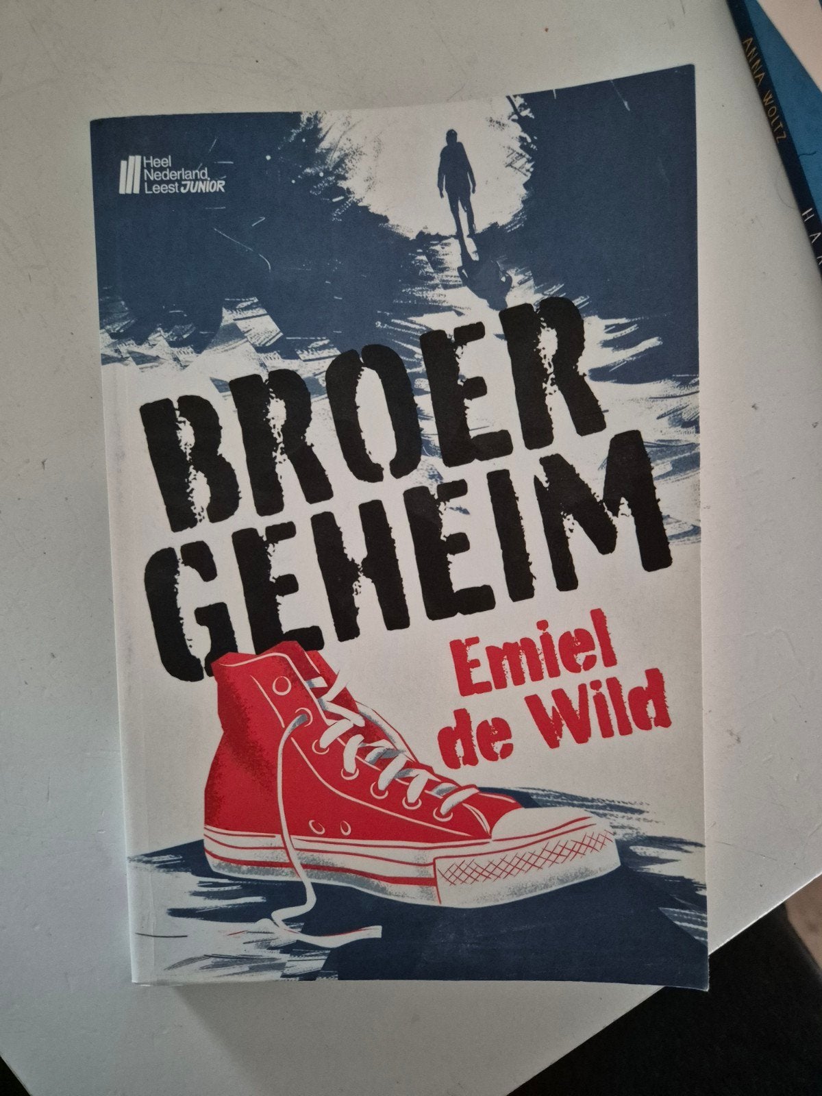 Broer Geheim - Emiel de Wild (Heel Nederland Leest Junior), Ophalen of Verzenden, Zo goed als nieuw, Emiel de Wild, Fictie