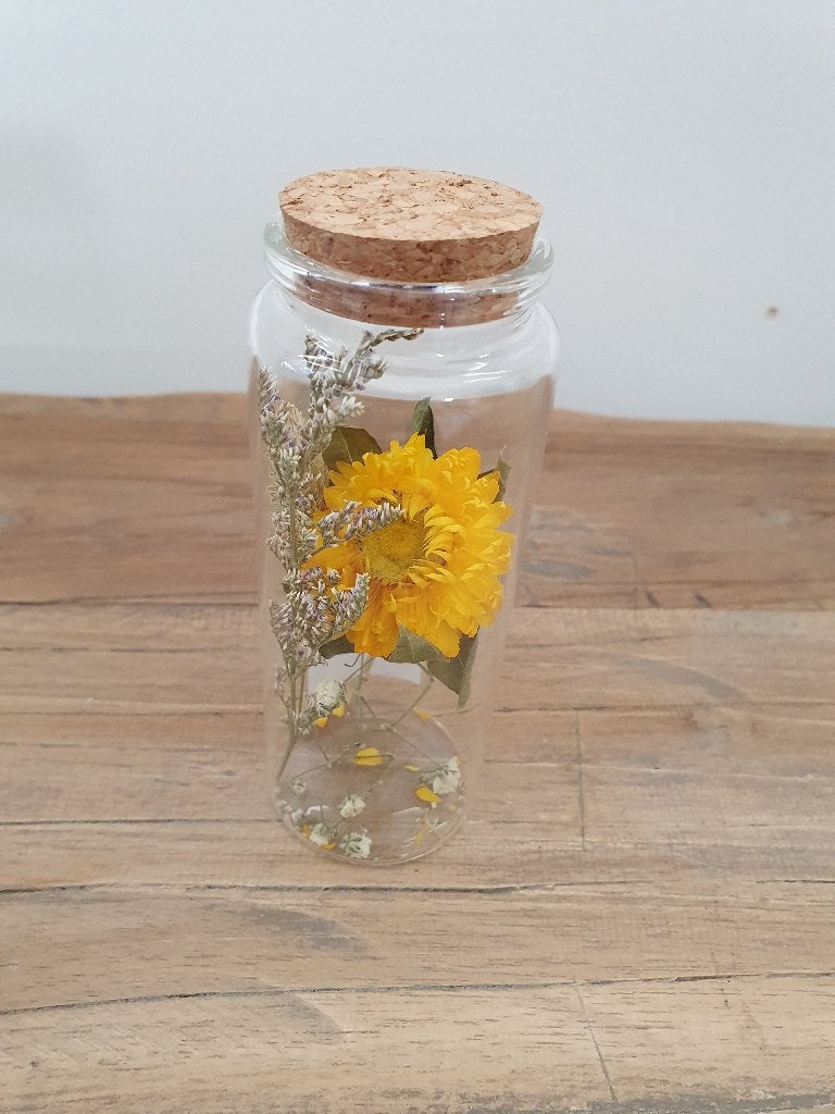 Buisje glas met droogbloemen, *, *, Nieuw, Ophalen of Verzenden