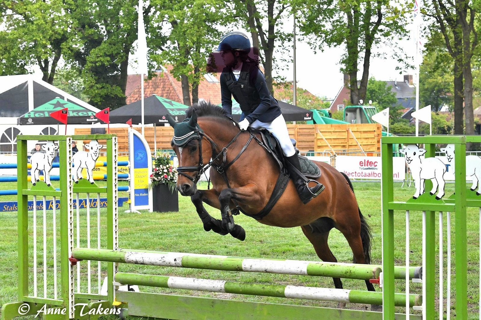 Te koop: lieve en betrouwbare allround D-pony, Dieren en Toebehoren, Springpony, 11 jaar of ouder, D pony (1.37m tot 1.48m), Merrie