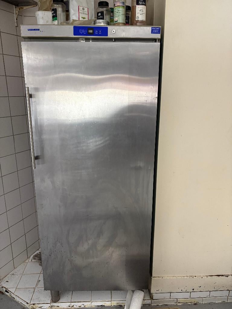 Liebherr ProfiLine horeca koelkast RVS, Witgoed en Apparatuur, Koelkasten en IJskasten, Ophalen, 200 liter of meer, 60 cm of meer