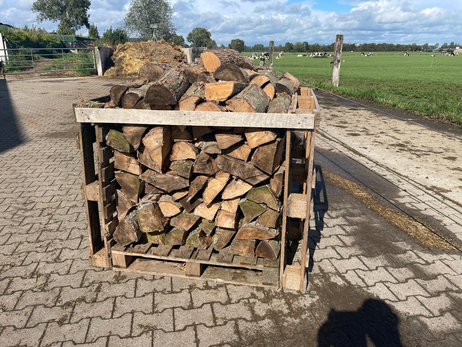 Gekloofd Elzenhout in krat, Tuin en Terras, Minder dan 3 m³, Ophalen, Elzenhout, Blokken