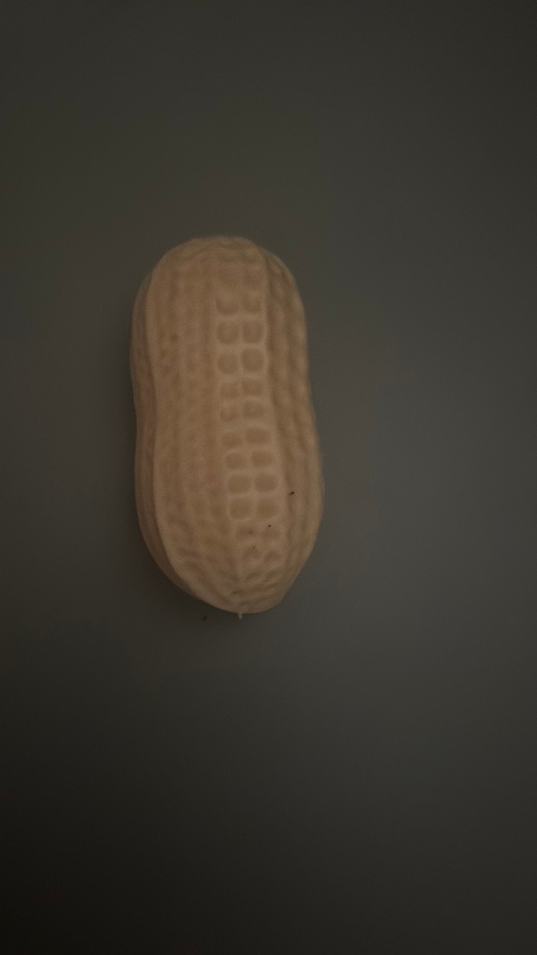 Nooten squishy, Ophalen of Verzenden, Nieuw