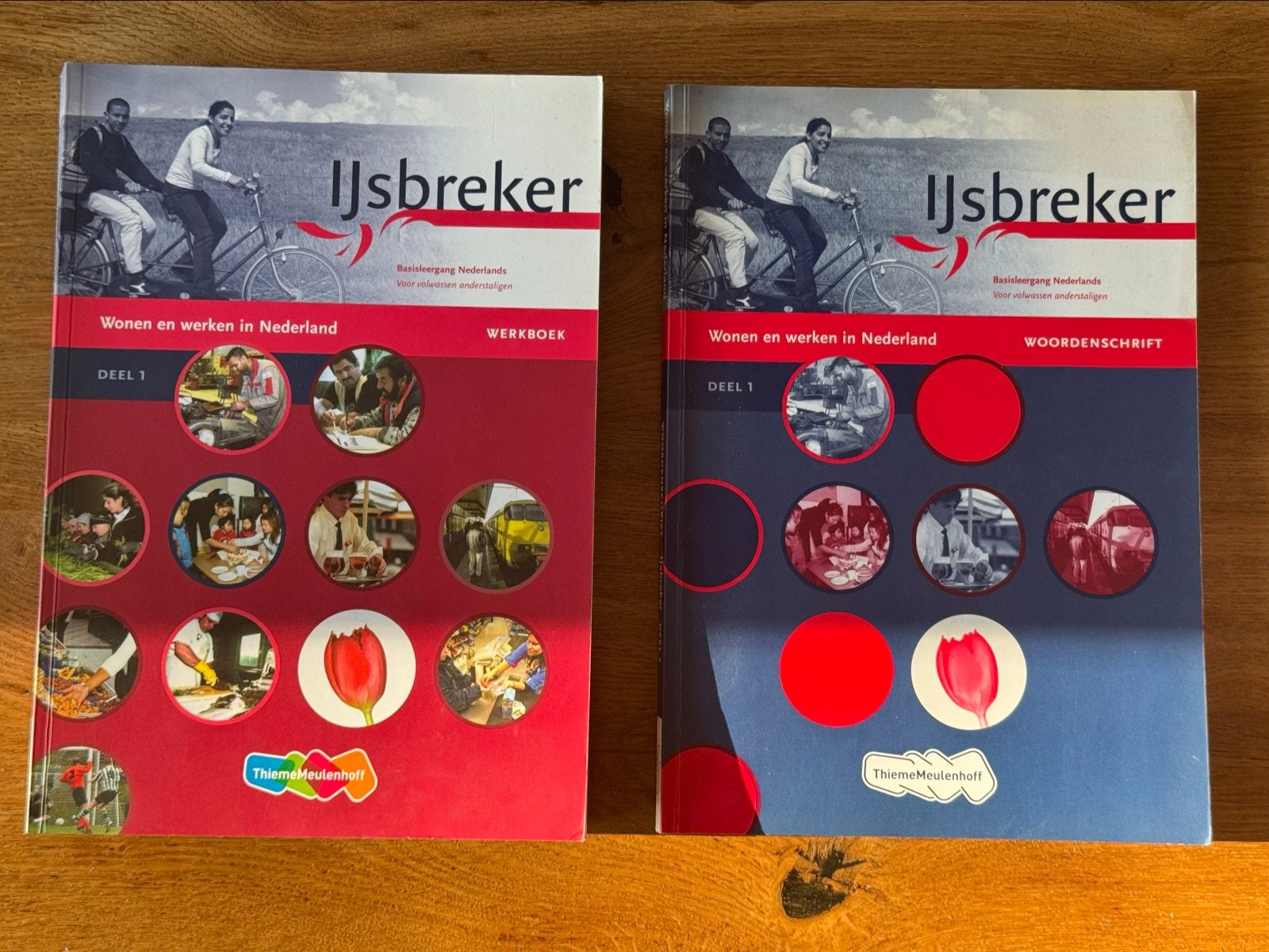 IJsbreker Deel 1: Werkboek & Woordenschrift - Nederlands, Ophalen of Verzenden, Alpha, Zo goed als nieuw, Overige niveaus