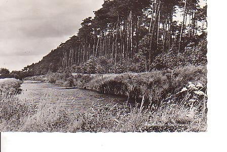 Ansichtkaart 	Appelscha	Ravenswoud, Verzenden, 1940 tot 1960, Gelopen, Friesland