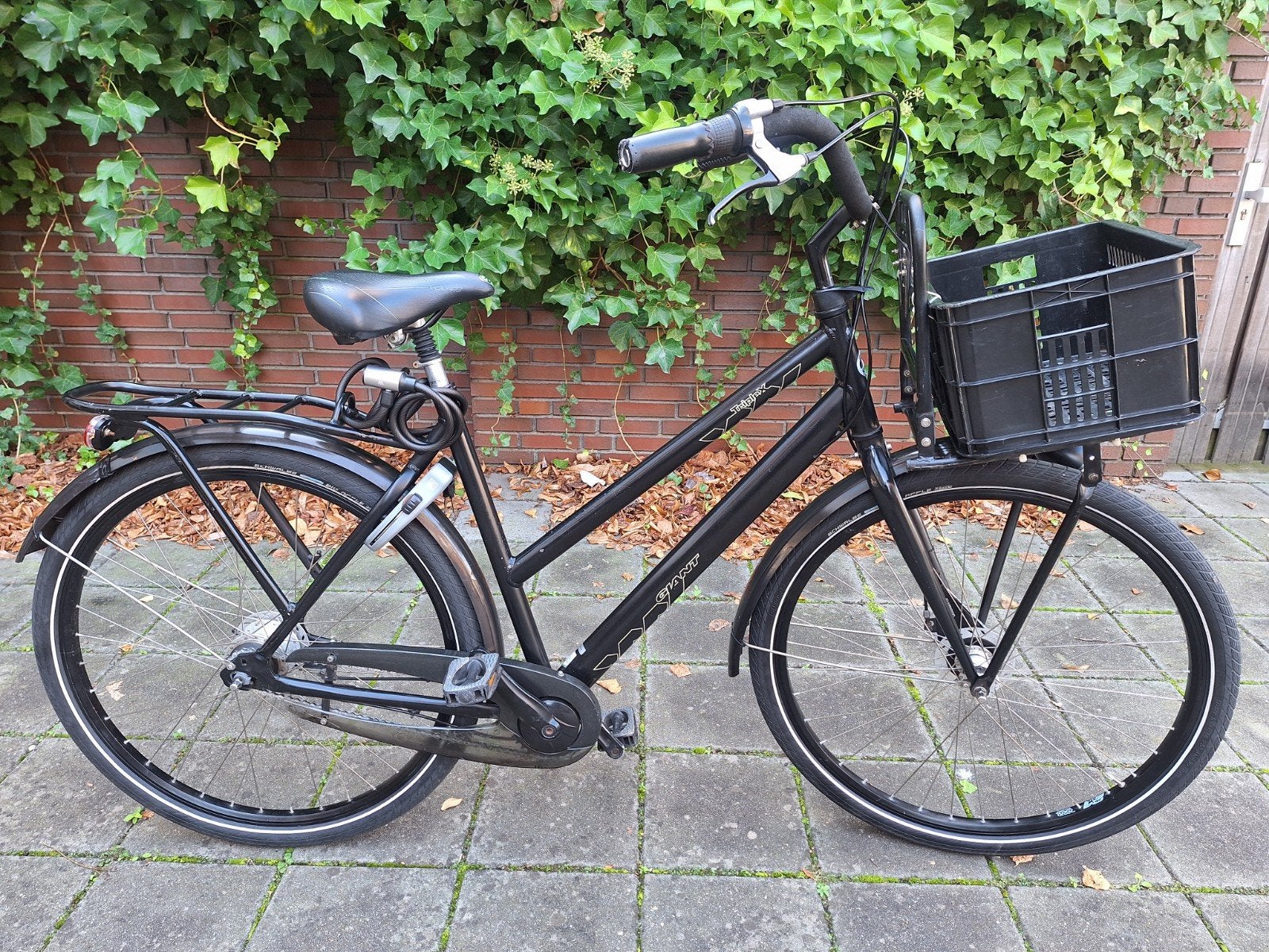 Giant triple X, Fietsen en Brommers, 56 cm of meer, Ophalen of Verzenden, Gebruikt, Giant