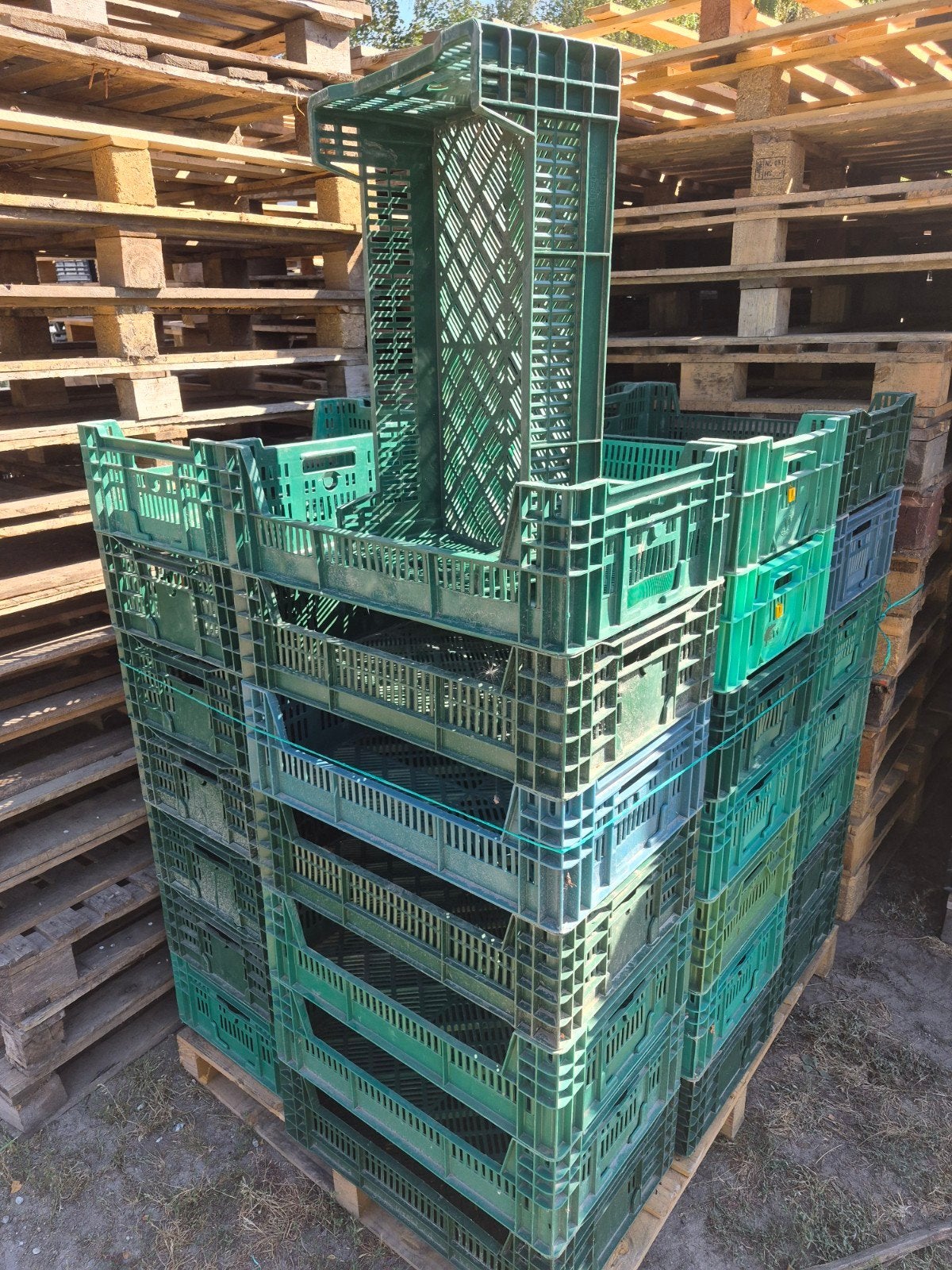 groene kratjes 60x40x18 cm bakken kisten, Ophalen, Minder dan 35 cm, Minder dan 50 cm, Minder dan 40 cm