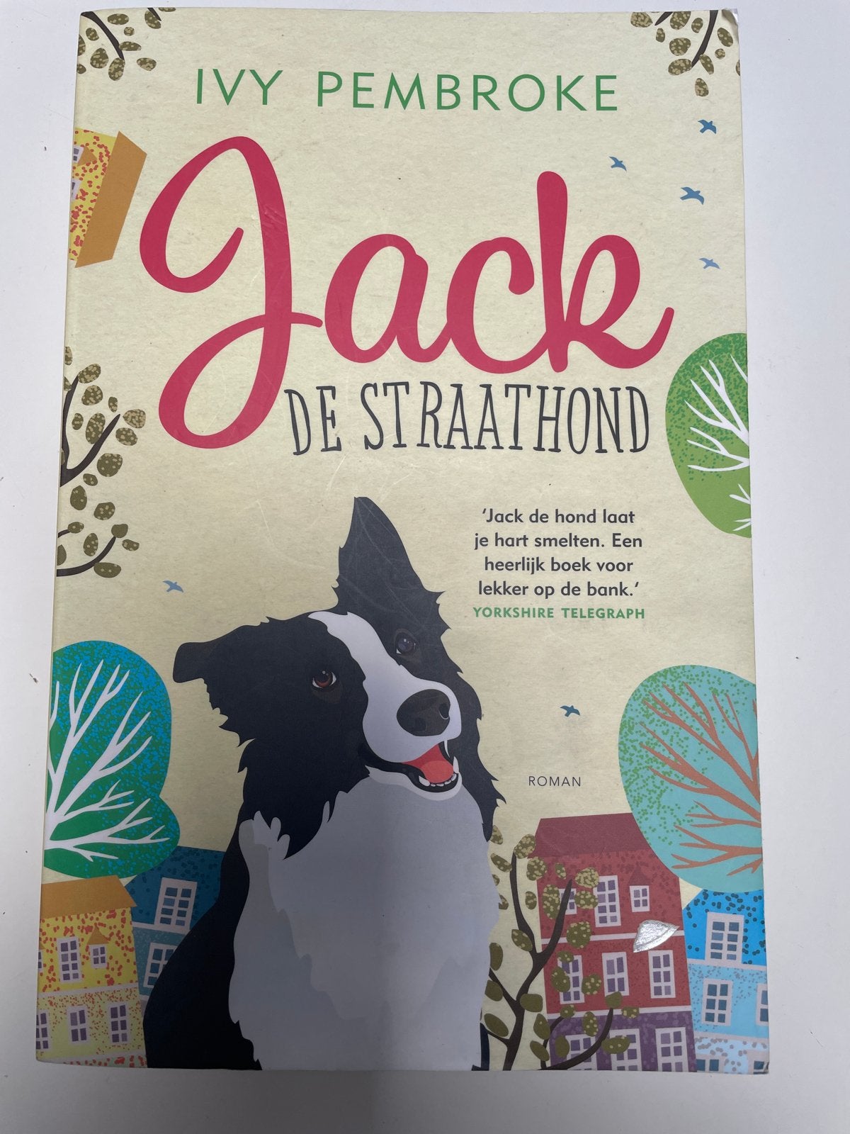 Jack de Straathond - Ivy Pembroke (Roman), Ophalen of Verzenden, Zo goed als nieuw, Nederland