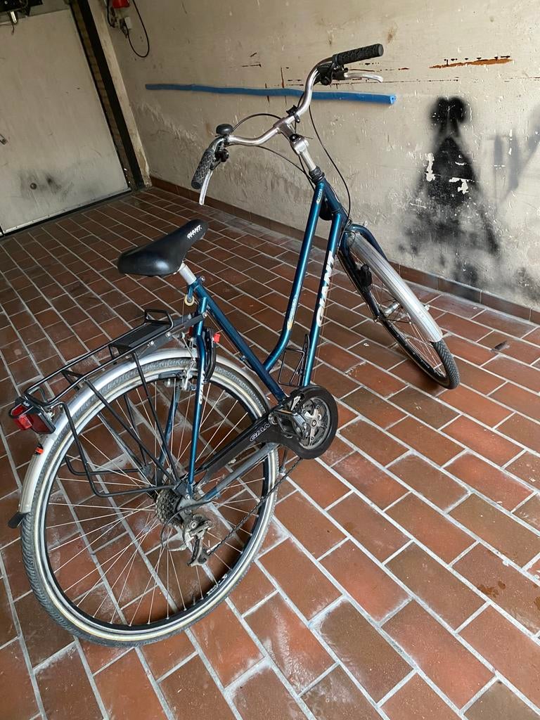 Damesfiets Giant Tourer frame 54 cm, Fietsen en Brommers, Fietsen | Dames | Damesfietsen, Ophalen, 53 tot 56 cm, Velgrem, Versnellingen