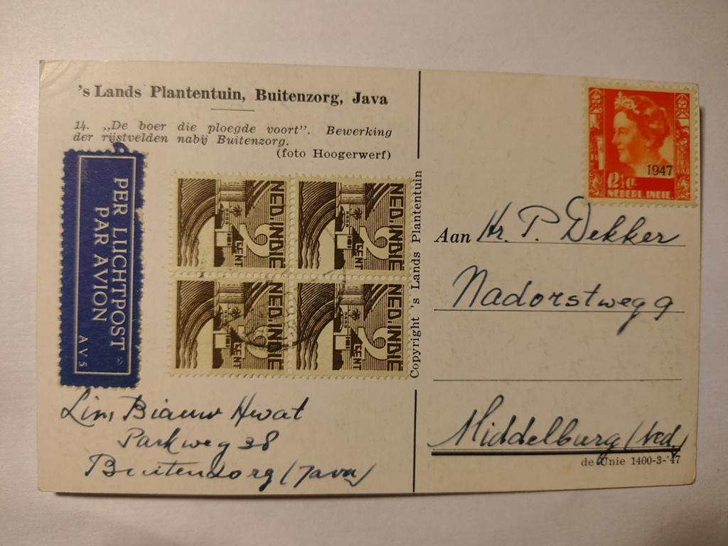 Nederlands-Indië 's Lands Plantentuin, Buitenzorg, Java, Ophalen of Verzenden, 1920 tot 1940