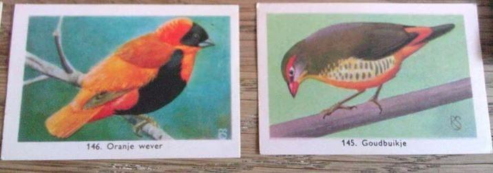 60er Jaren Vogel Plaatjes / Verzamelkaarten, Verzamelen, Verzenden, Gebruikt