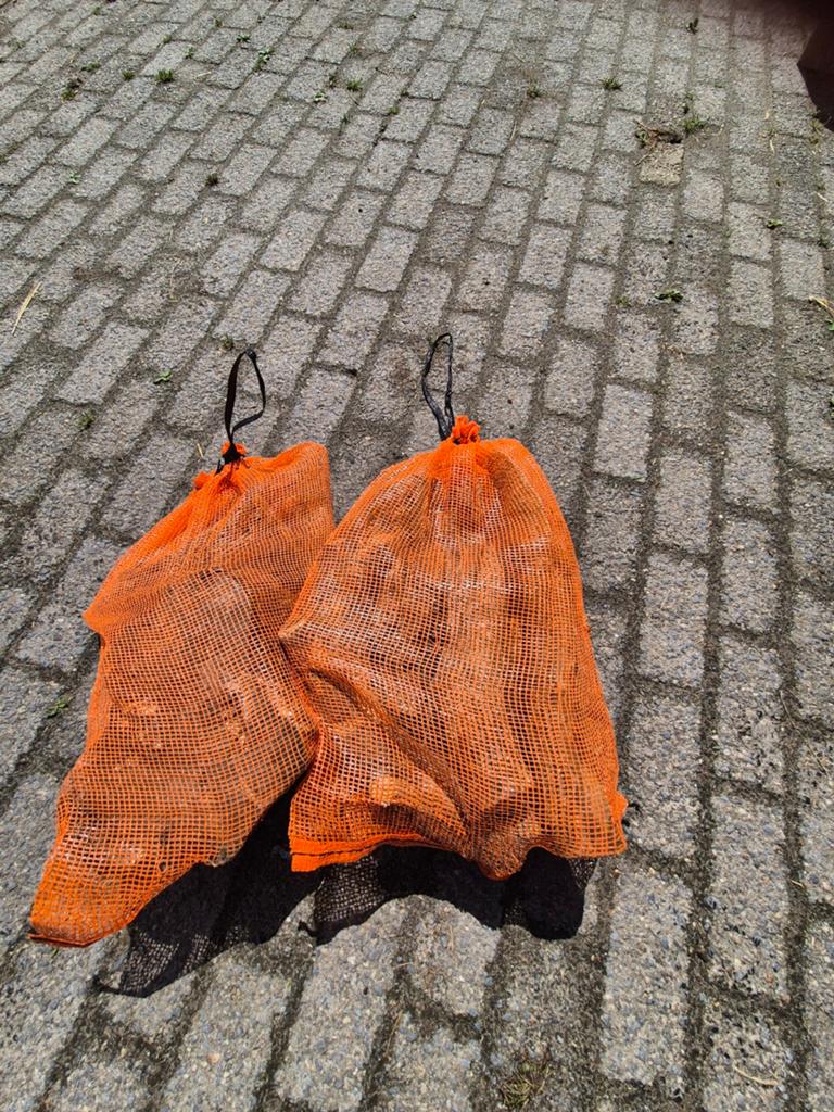 Olijhout brandhout, rechtstreeks uit spanje, Minder dan 3 m³, Ophalen of Verzenden