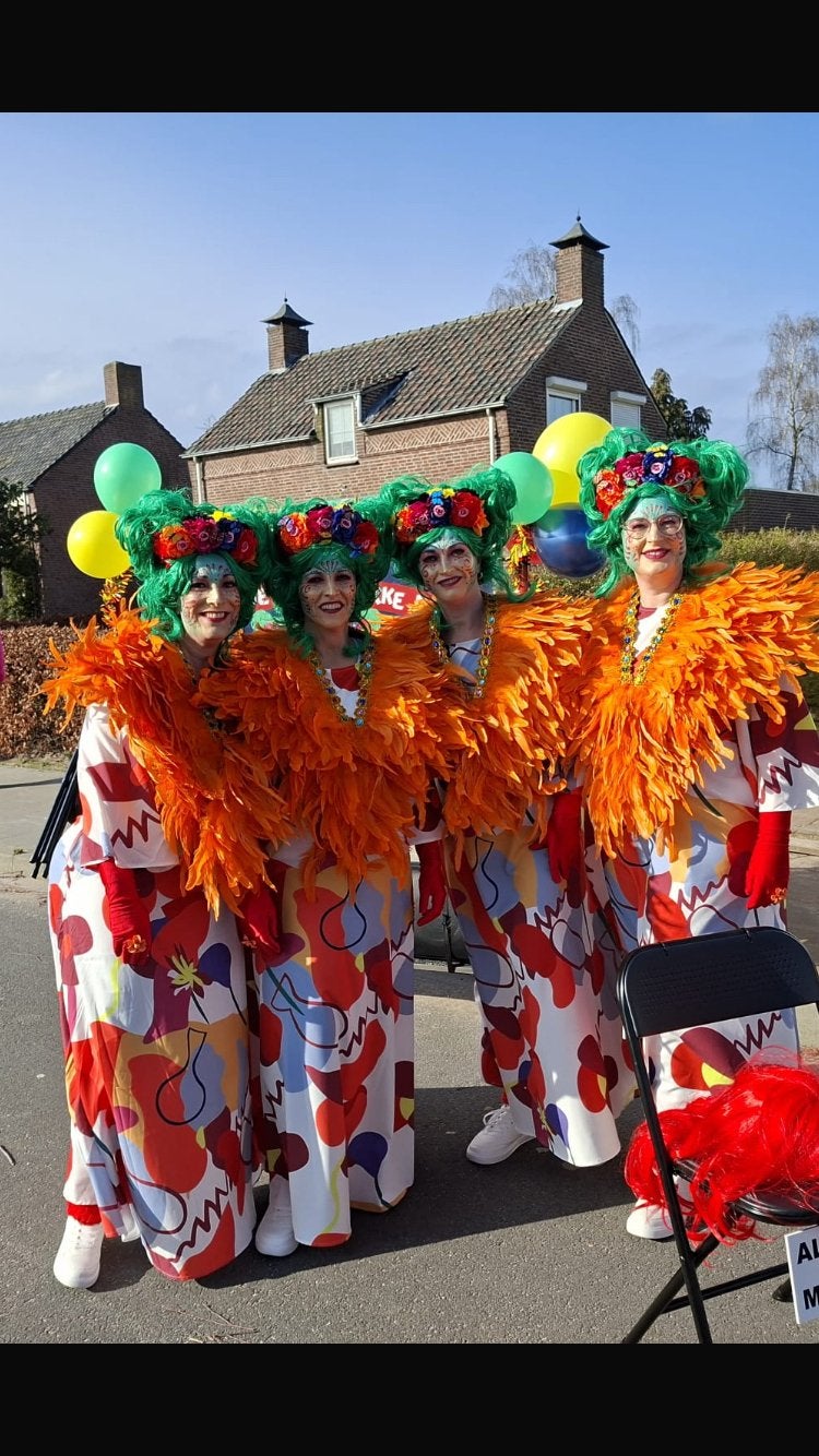 Loopgroep 4 personen Carnavalskleding te koop, Carnaval, Maat 42/44 (L), Ophalen of Verzenden, Kleding