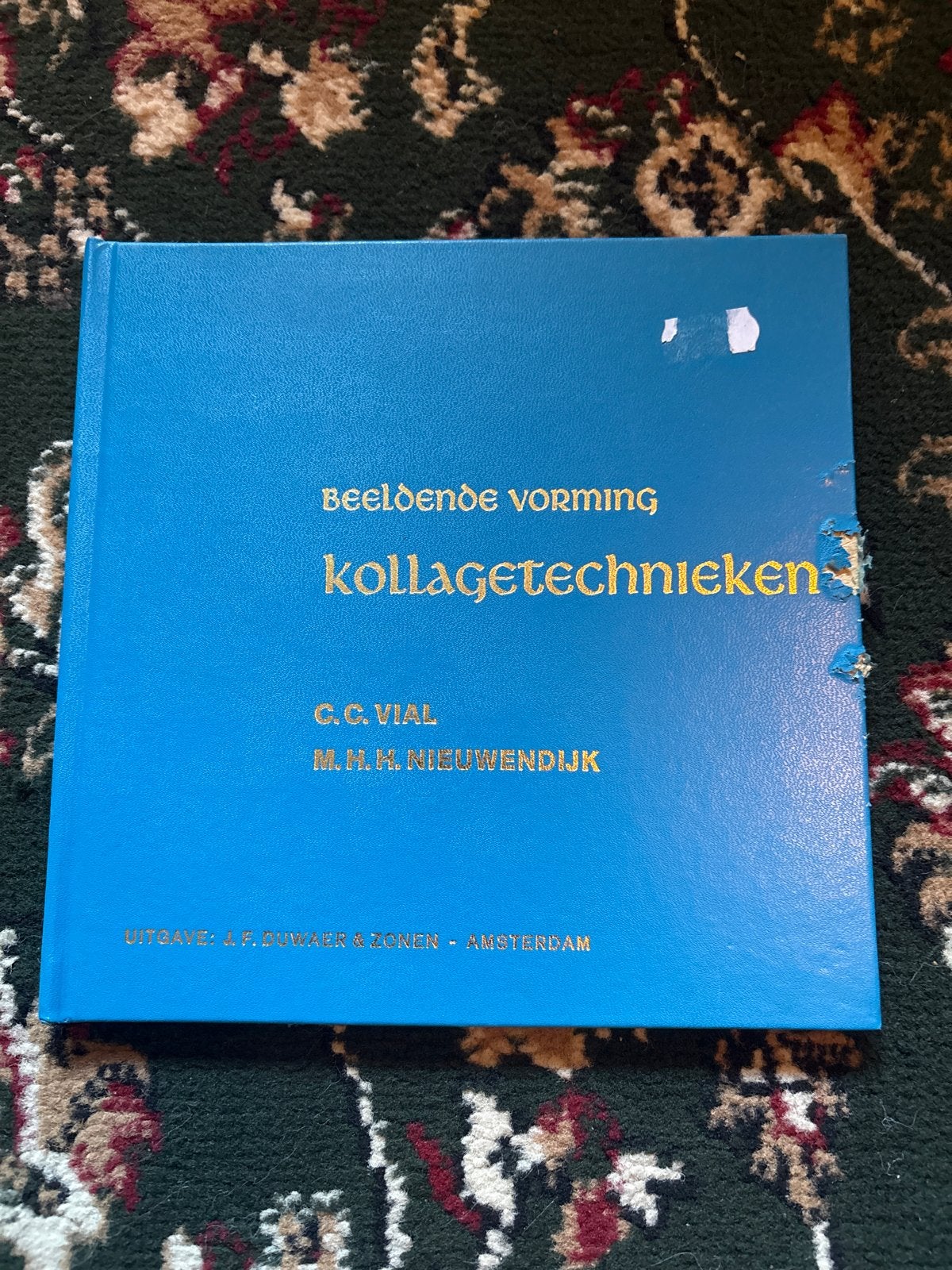 Beeldende Vorming: Collagetechnieken - G.C. Vial, Ophalen of Verzenden, Gelezen, Overige onderwerpen