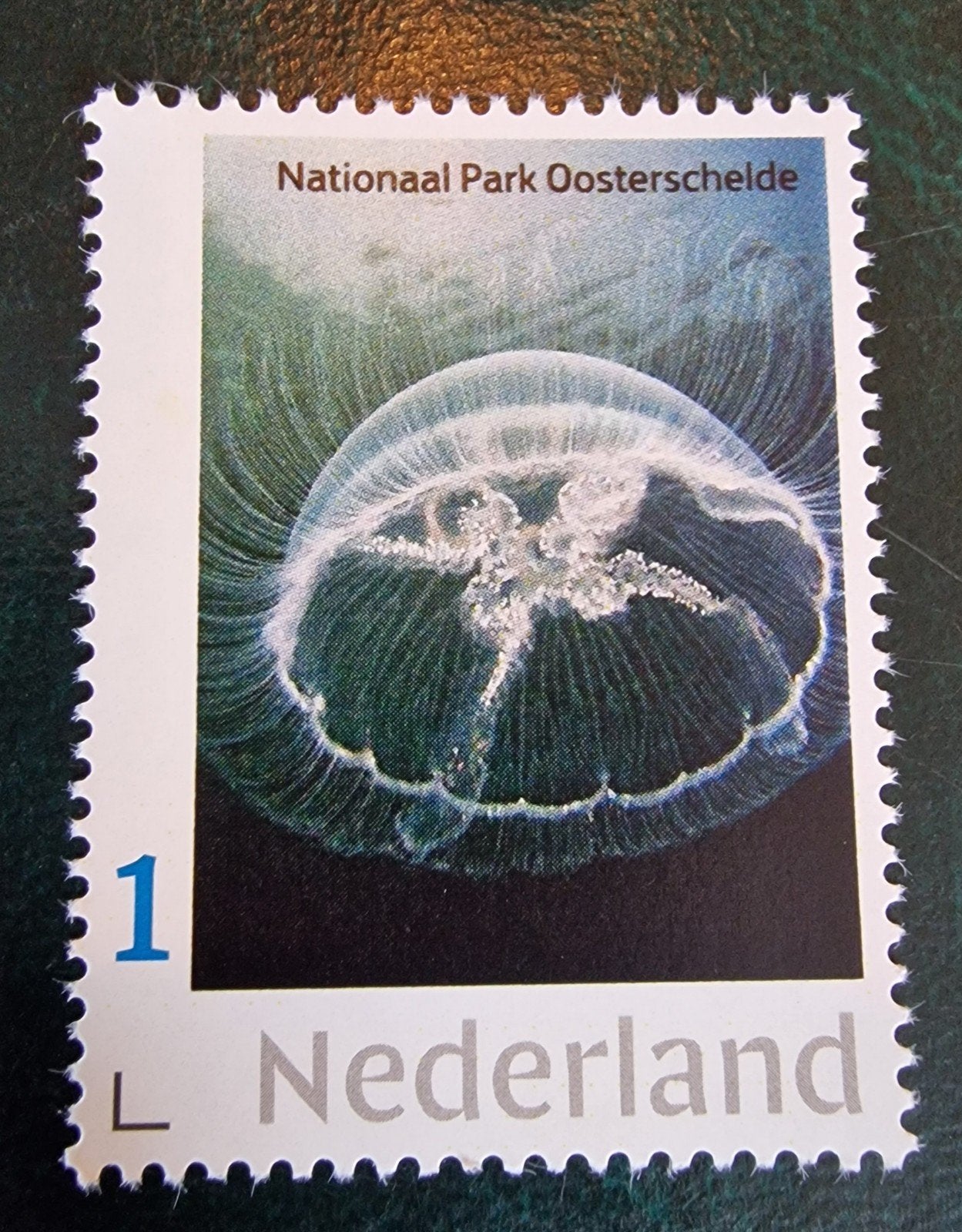 kv442 persoonlijke zegel Nationaal Park Oosterschelde Kwal, Ophalen of Verzenden, Na 1940, Postfris