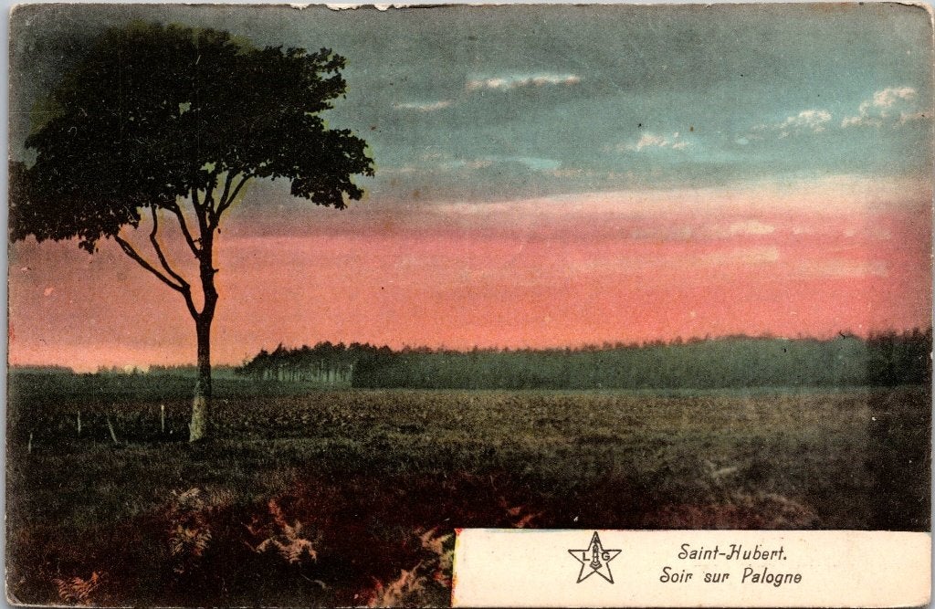 Saint-Hubert België - 12 antieke postkaarten, Verzamelen, Ophalen of Verzenden, 1920 tot 1940, Gelopen, Luxemburg
