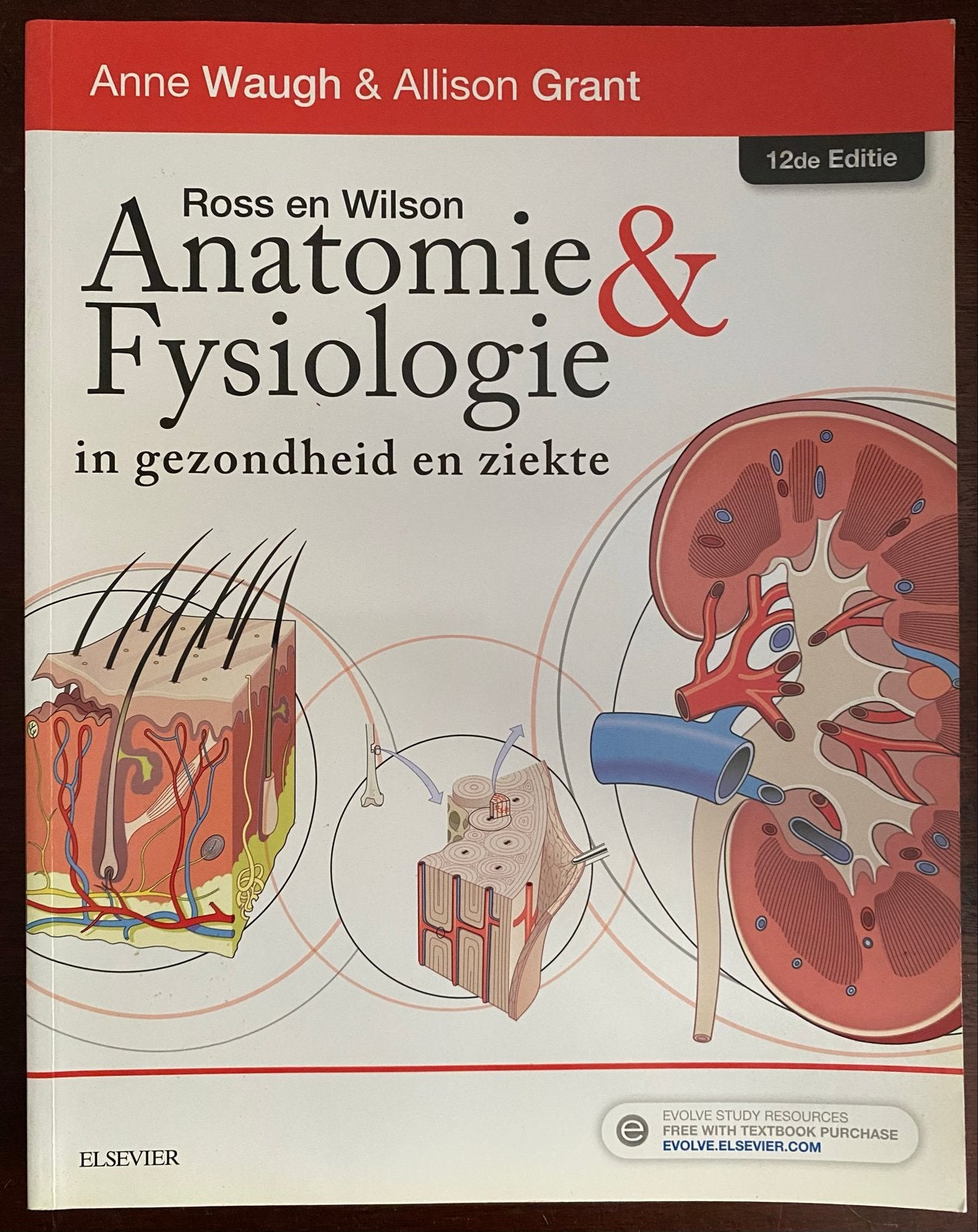 Ross en Wilson Anatomie & Fysiologie 12e editie, Boeken, Ophalen, Beta, Zo goed als nieuw, LBO