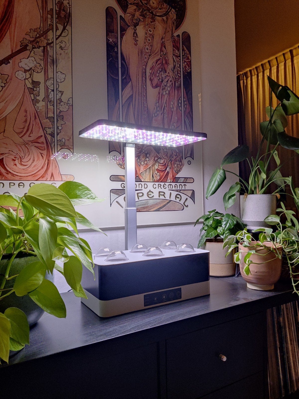 Slimme Hydroponische Kweekbak met LED Groeilamp, Ophalen, Nieuw, Kweekbak