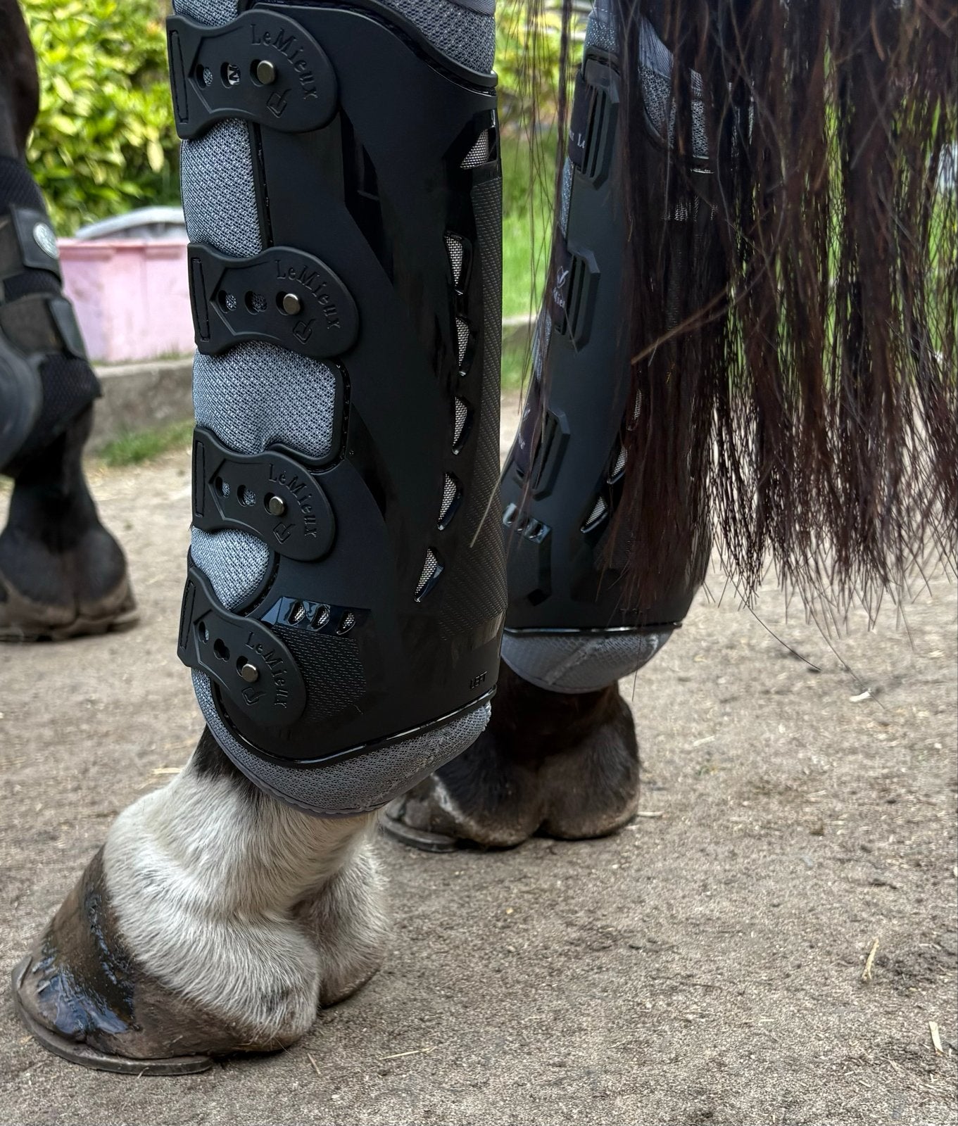 Lemieux Snug Hind maat M, Ophalen of Verzenden, Zo goed als nieuw, Dressuur