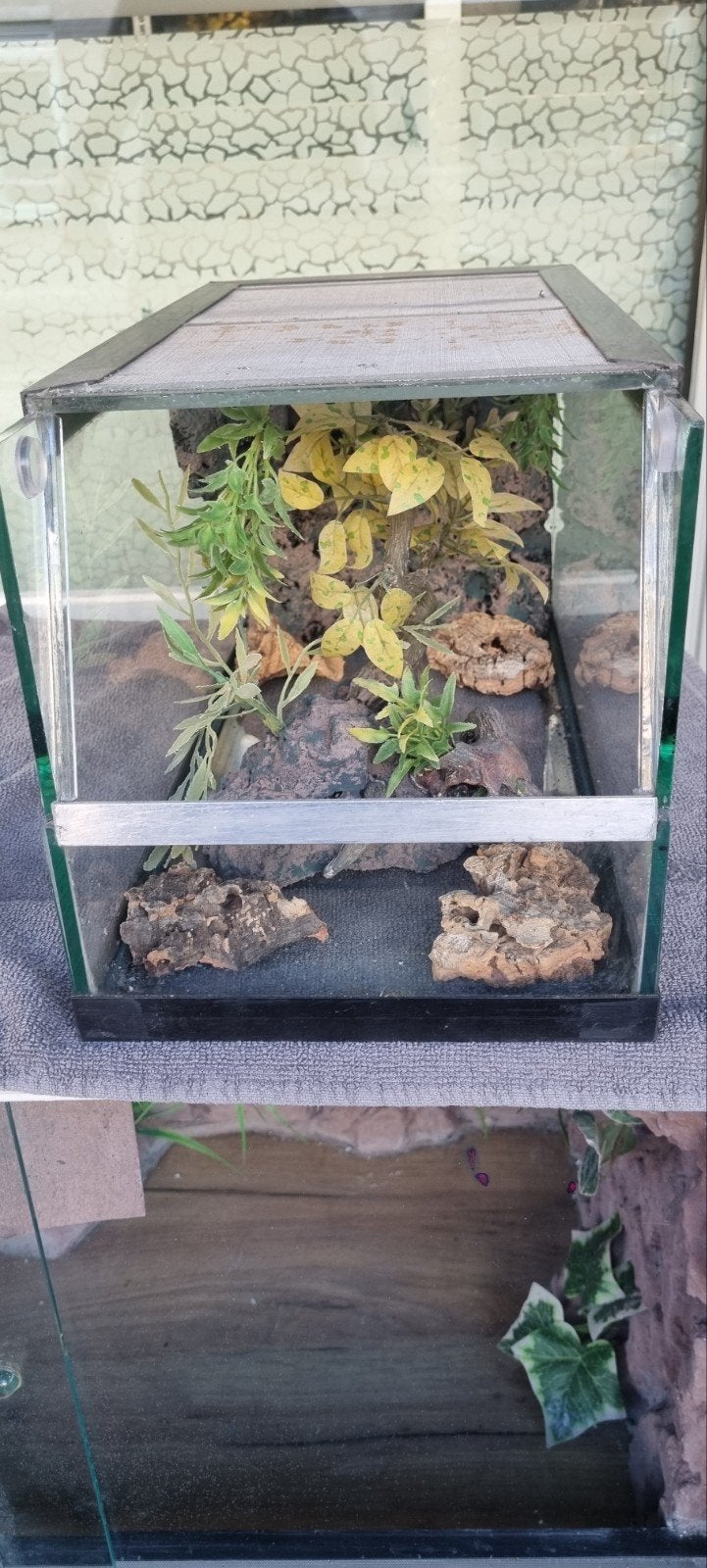 Terrarium 20x40x20, Ophalen of Verzenden