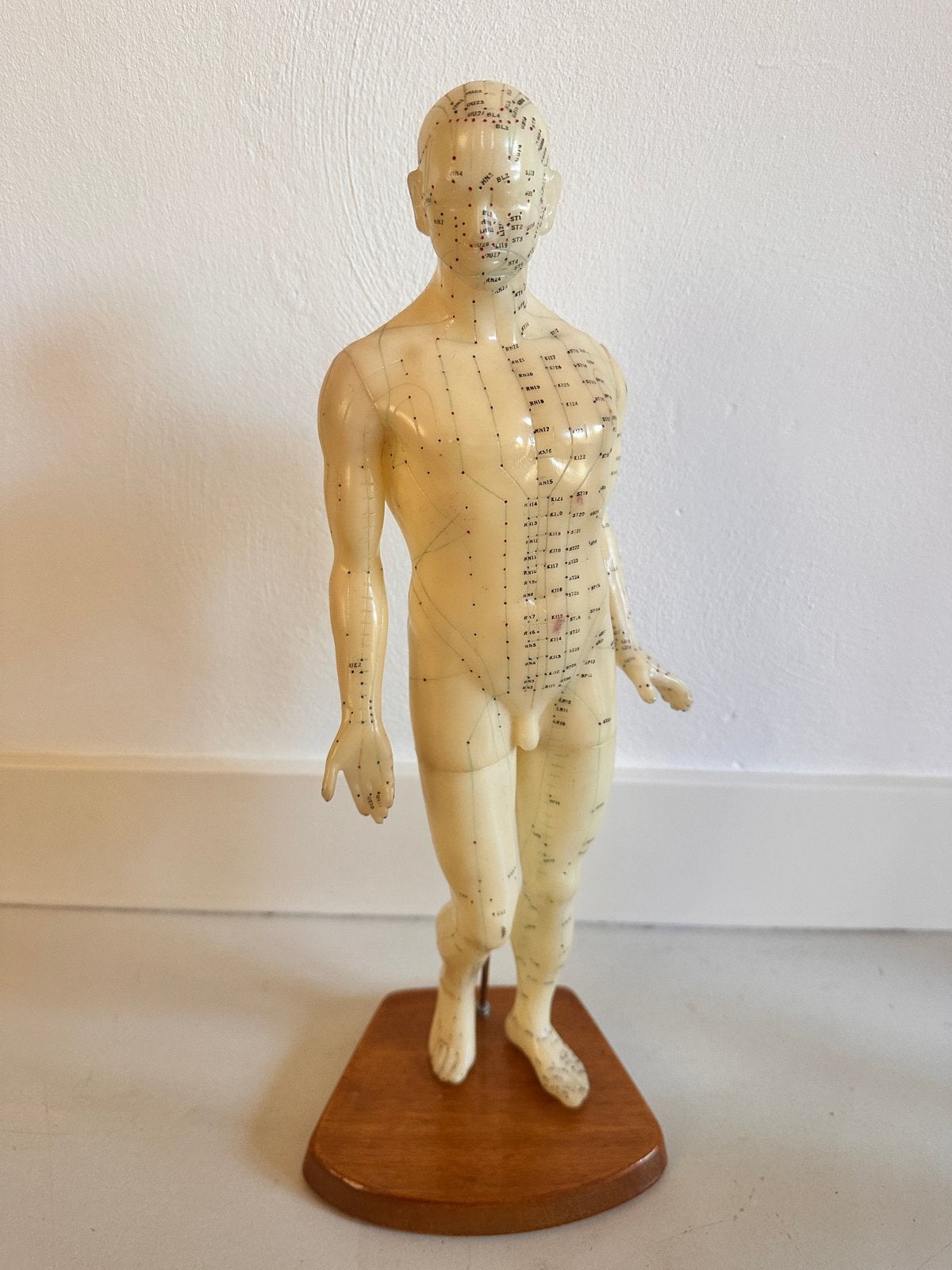 Vintage Acupunctuur Mannequin - Anatomisch Model, Ophalen of Verzenden