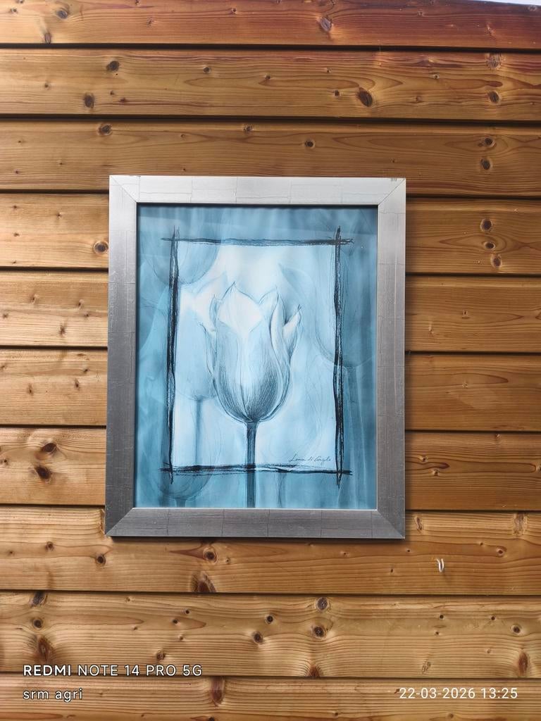 Schilderij met blauwe tulp in zilveren lijst, Ophalen of Verzenden