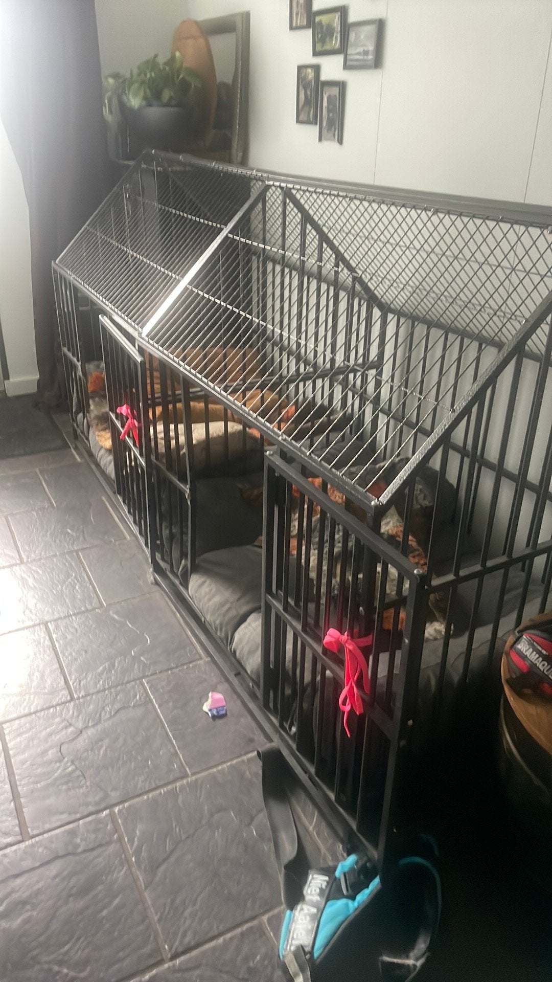 Hondenbench huisje model, Ophalen, Hondenkennel, Gebruikt, 100 cm of meer