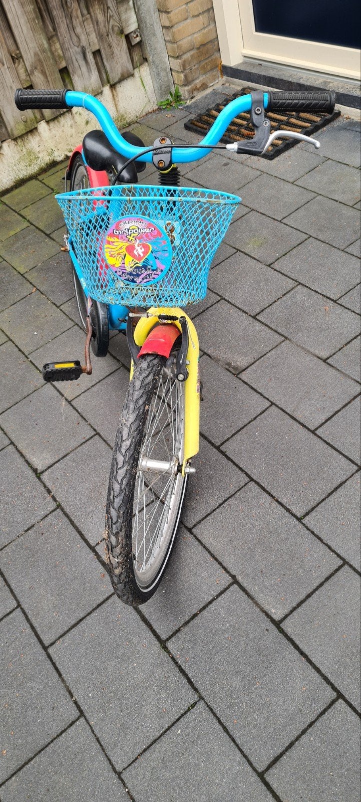 Alpino Girlpower meisjes fiets - 22 inch, Fietsen en Brommers, Fietsen | Kinderfietsjes, Ophalen, 20 inch of meer, Gebruikt, Onbekend