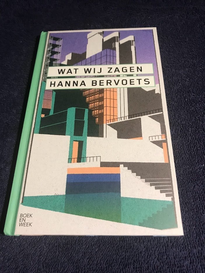 Boekenweekgeschenk 2021: Wat wij Zagen – Hanna Bervoets., Boeken, Ophalen of Verzenden, Gelezen, Hanna Bervoets.   