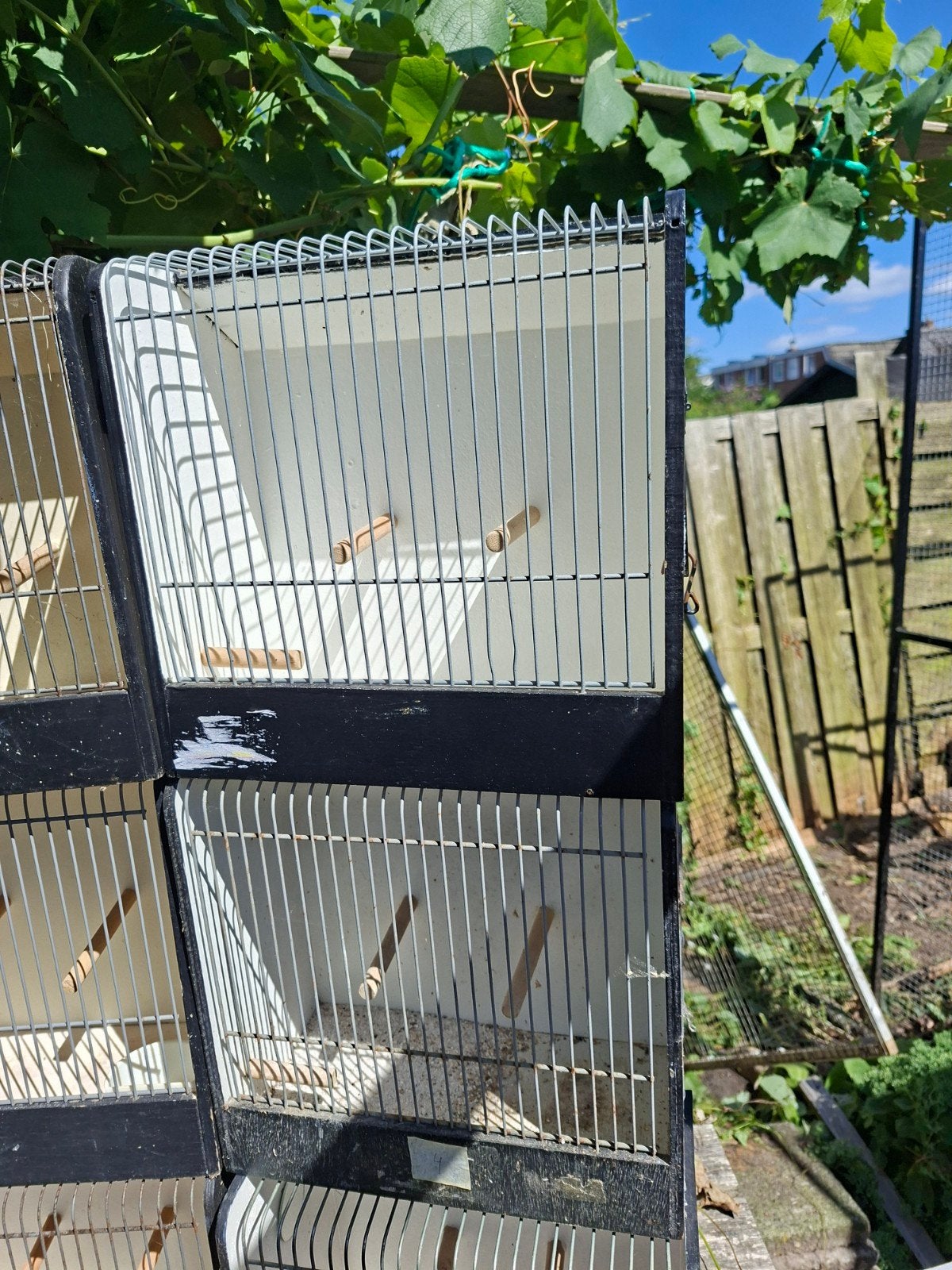 tt kooien, Ophalen, Gebruikt, Hout, Vogelkooi