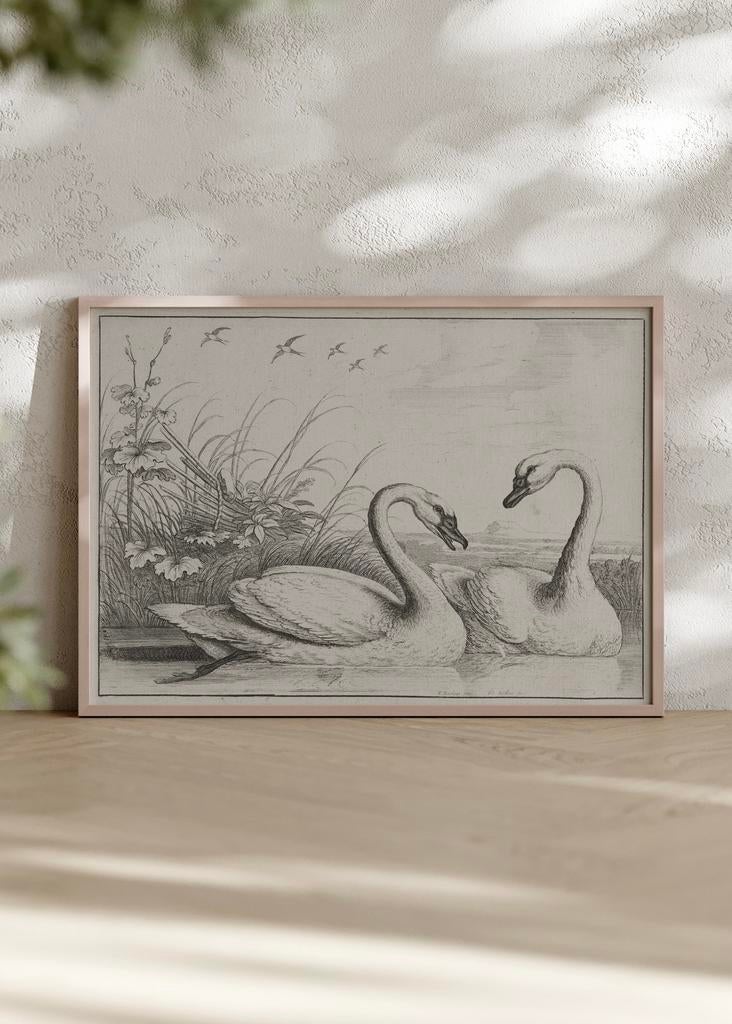 Klassieke Kunstposter A4 – Wenceslaus Hollar - Zwanen, Ophalen of Verzenden, Nieuw