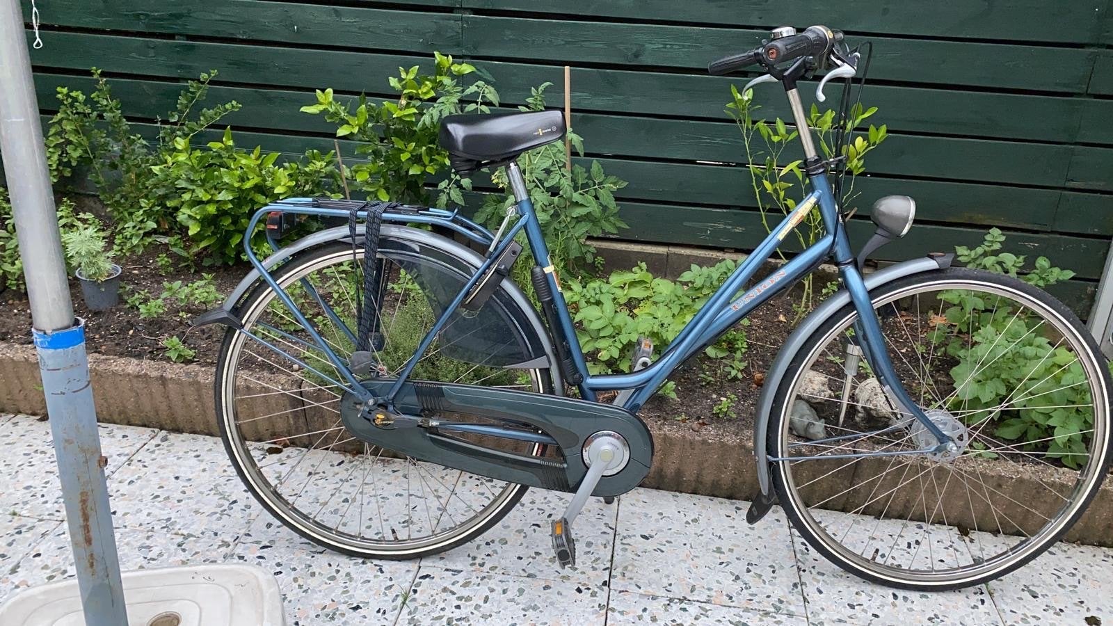 Degelijke damesfiets - Blauw, met bagagedrager, Velgrem, Versnellingen, Ophalen, Overige merken