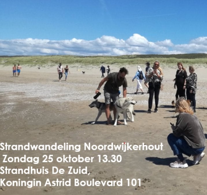 Saarlooswolfhond pups met stamboom AVLS, Dieren en Toebehoren, Overige rassen, CDV (hondenziekte), 8 tot 15 weken, Meerdere