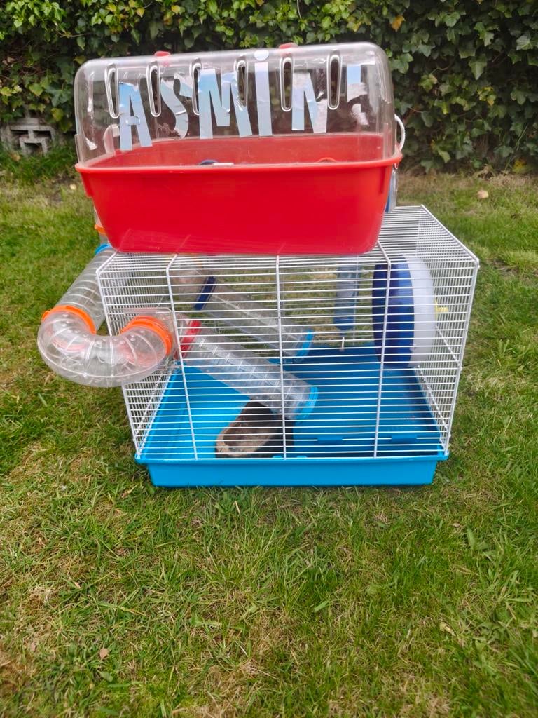 Kleine knaagdierenkooi met toebehoren, Ophalen, Minder dan 75 cm, Kooi, Minder dan 60 cm