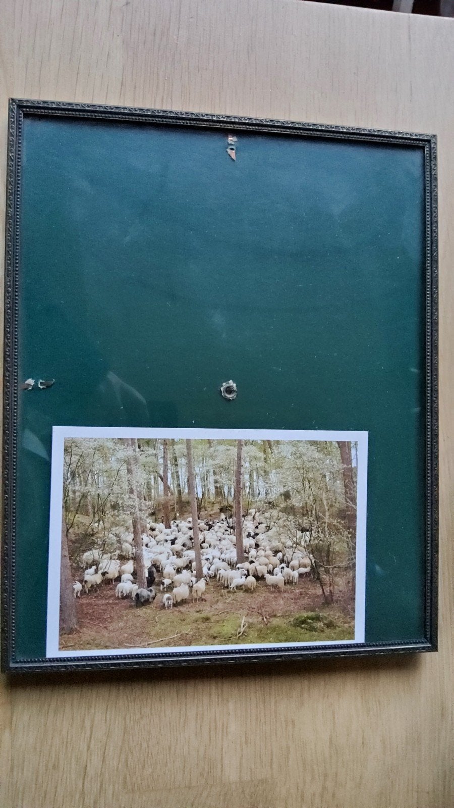 Groot antiek zilver kleur fotolijstje bol glas bewerkte rand, Ophalen of Verzenden