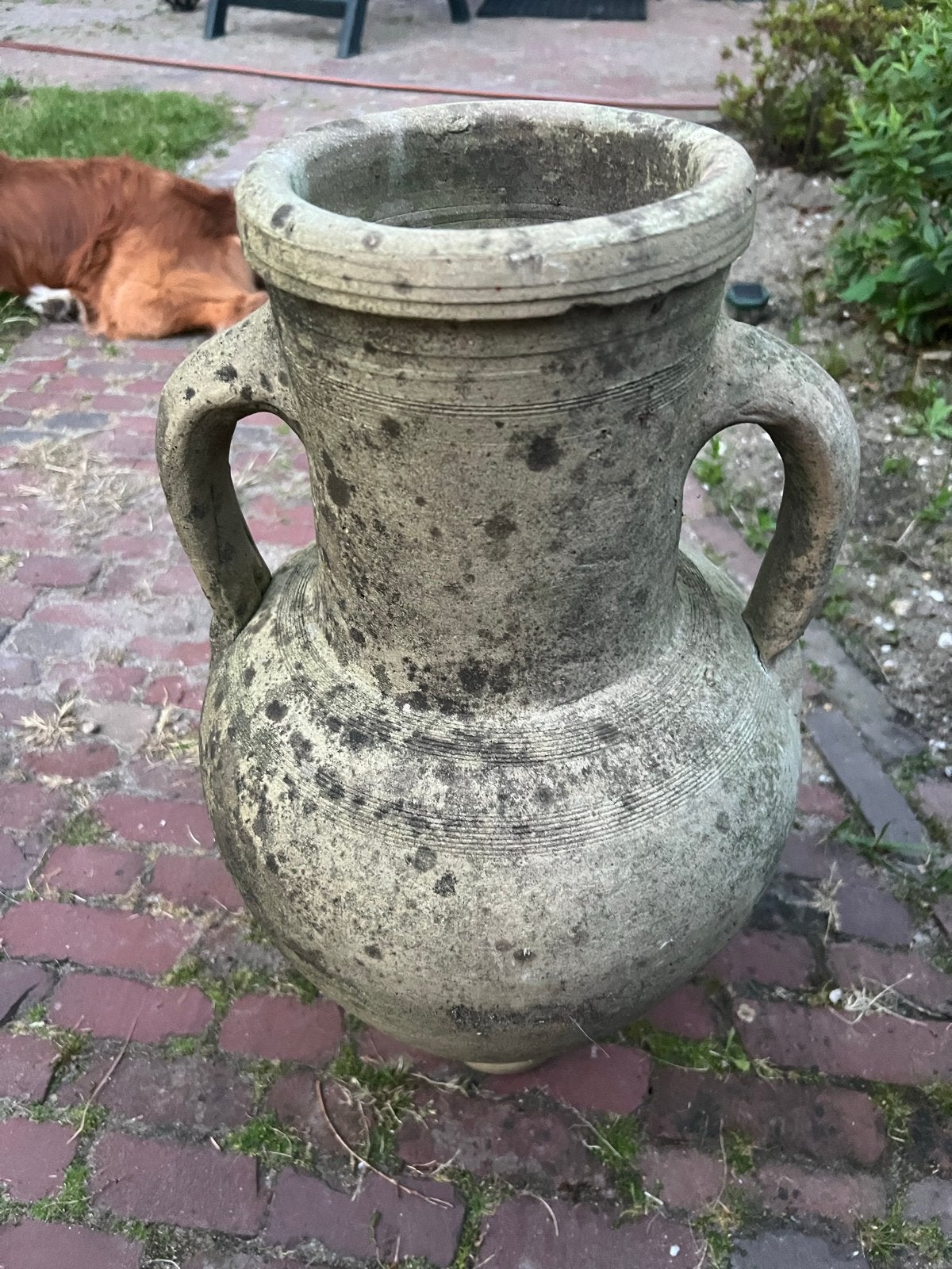 Antieke terracotta amfora vaas met handvatten, Ophalen