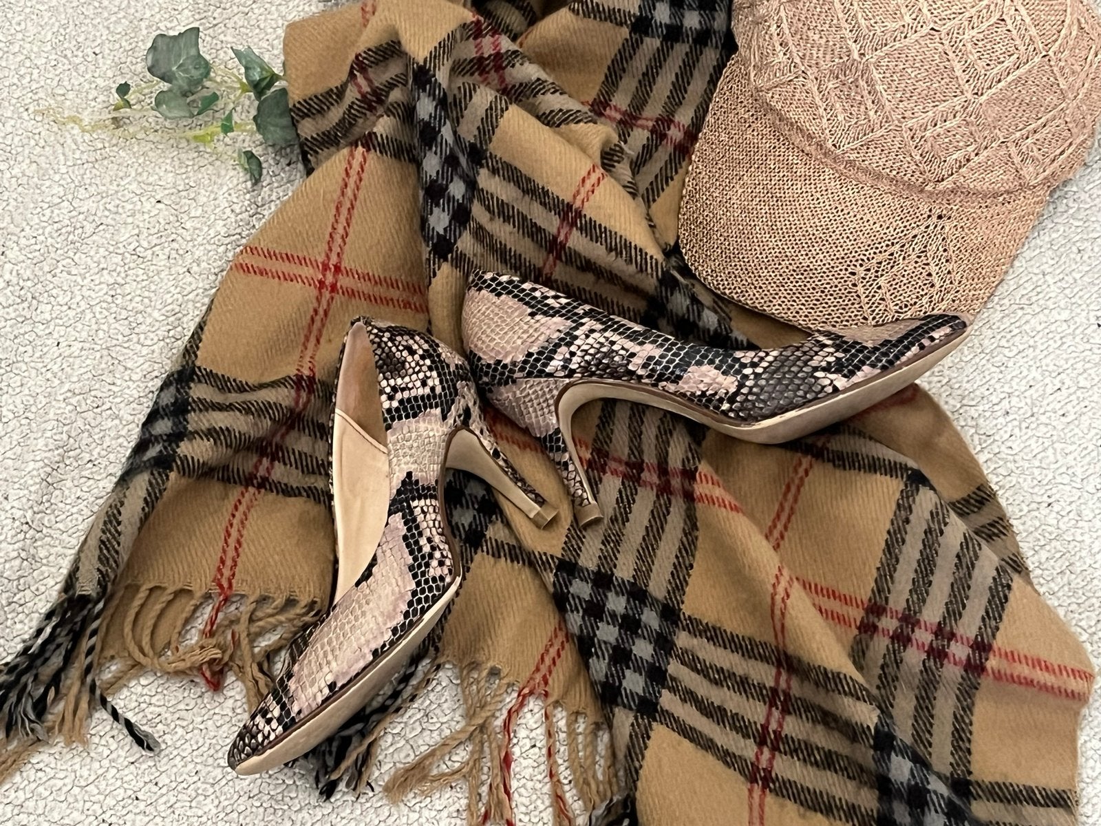 Graceland Pumps met Slangenprint - Maat 37, Ophalen of Verzenden, Zo goed als nieuw, Overige kleuren, Pumps