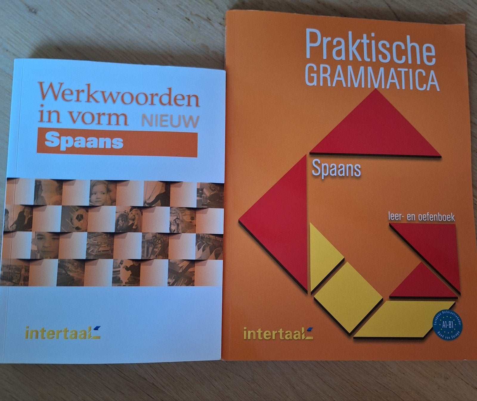 Intertaal,Spaans, werkwoorden in vorm,nieuwe uitgave, Zo goed als nieuw, Nederlands, Overige niveaus, Pilar Perez Canizares; Maria Engracia Lopez Sanchez; Carlos S...