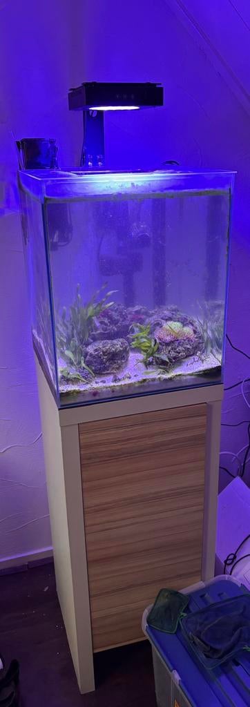 Zeeaquarium compleet, Dieren en Toebehoren, Vissen | Aquaria en Toebehoren, Ophalen, Gebruikt