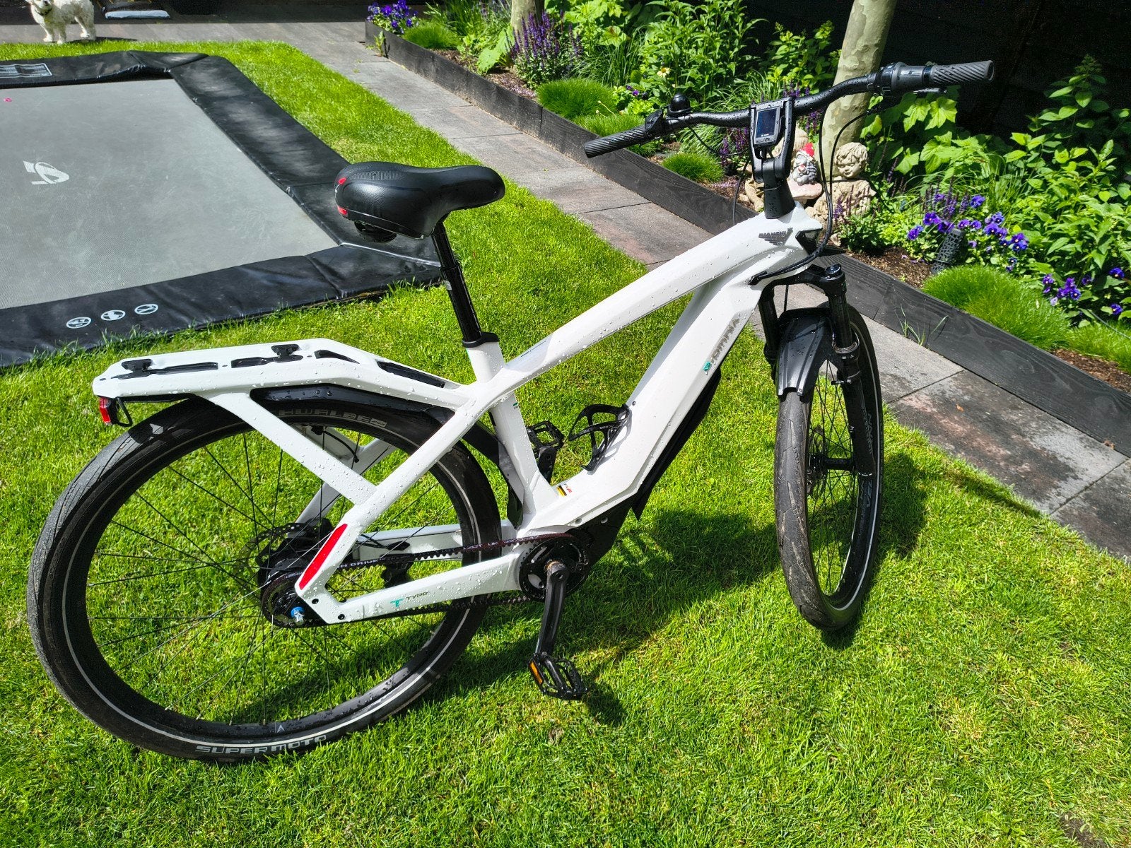 Bianchi eOmnia ebike / LED verlichting / Belt drive 1200km, Zo goed als nieuw, 51 tot 55 cm, 50 km per accu of meer, Ophalen