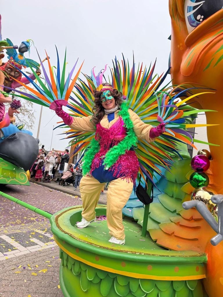Samba vleugels Inc. accessoires – Complete set (6 stuks), Ophalen, Zo goed als nieuw, Kostuum, Carnaval