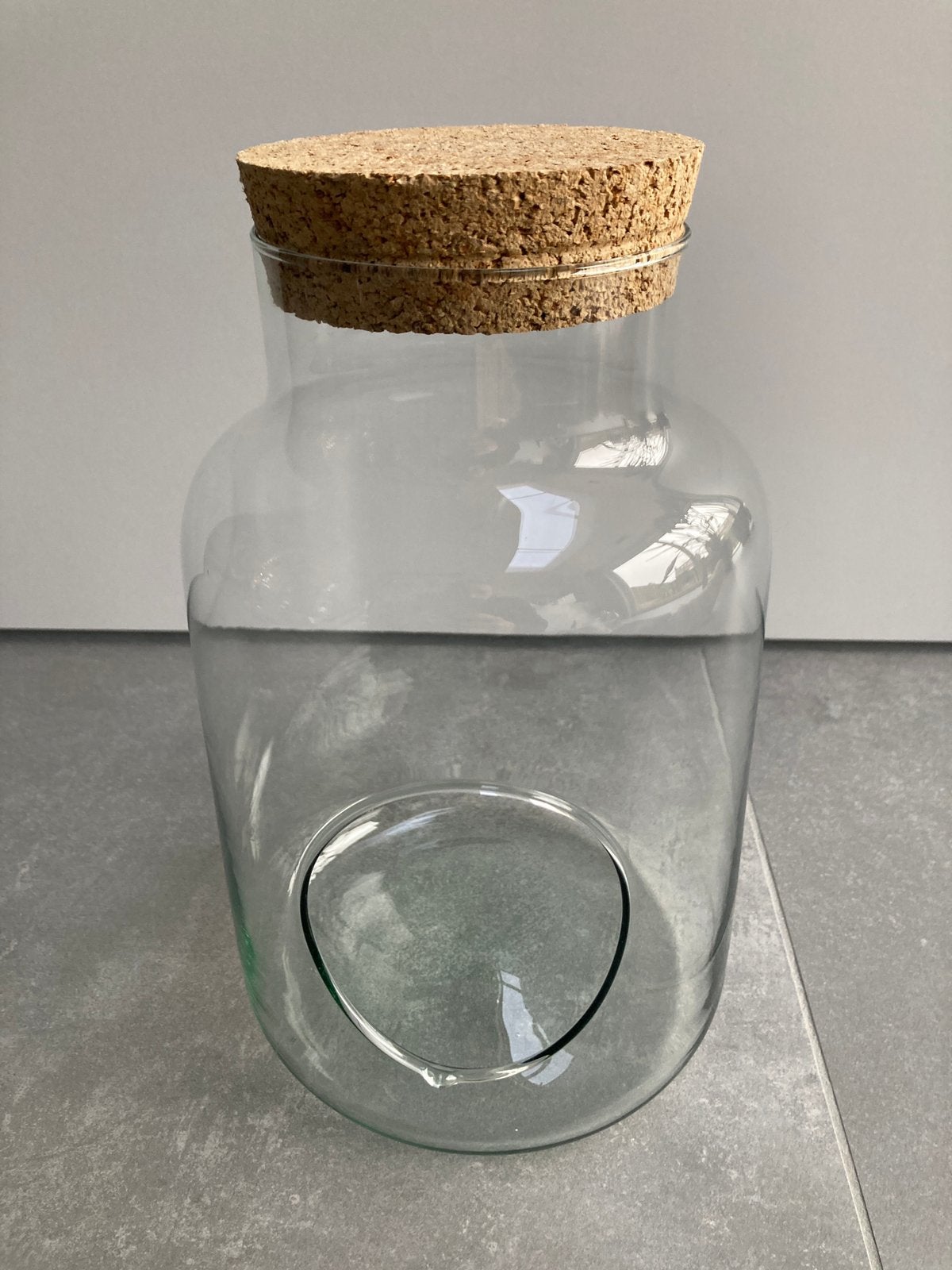 Glazen pot met kurk - terrarium, Huis en Inrichting, Ophalen, Zo goed als nieuw, Glas, 17 cm