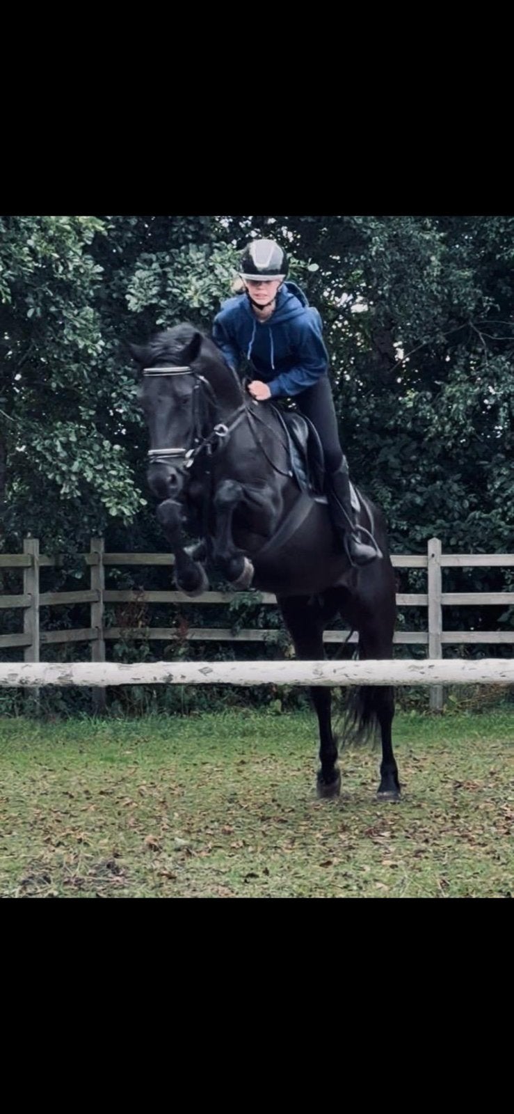 Mooie allarounder tekoop, Dieren en Toebehoren, Pony's, Merrie, E pony (1.48m - 1.57m), 11 jaar of ouder