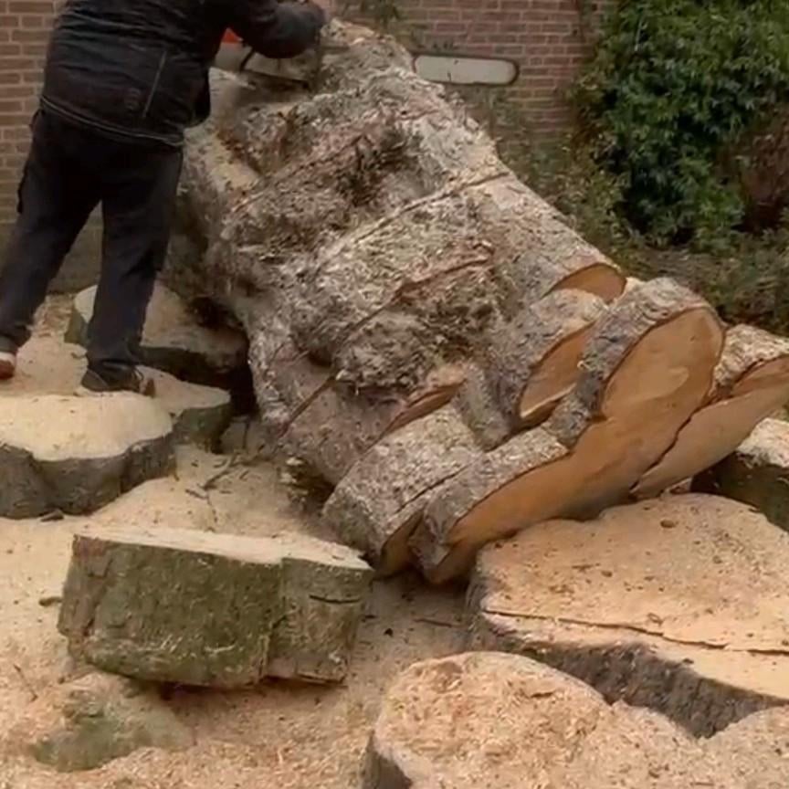 Grote boomstammen en blokken gratis in MIJDRECHT, Minder dan 3 m³, Ophalen